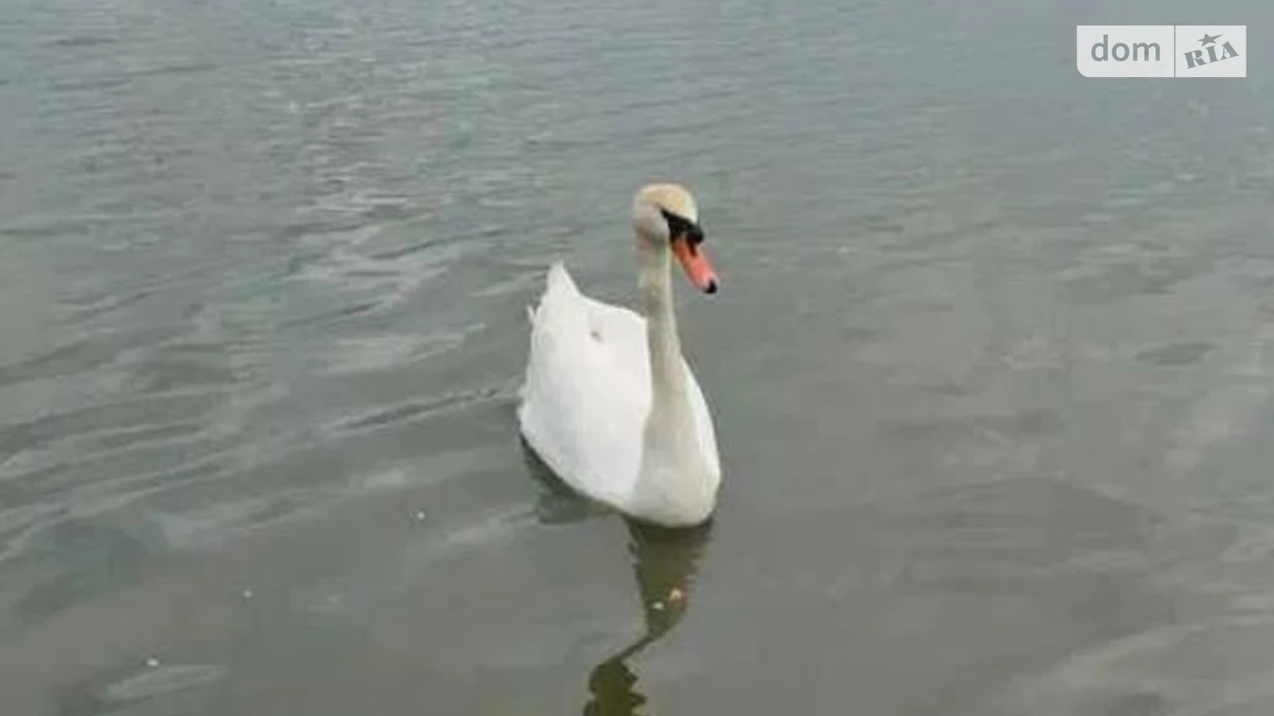 Продається будинок 2 поверховий 116.5 кв. м з терасою, цена: 104000 $ - фото 3