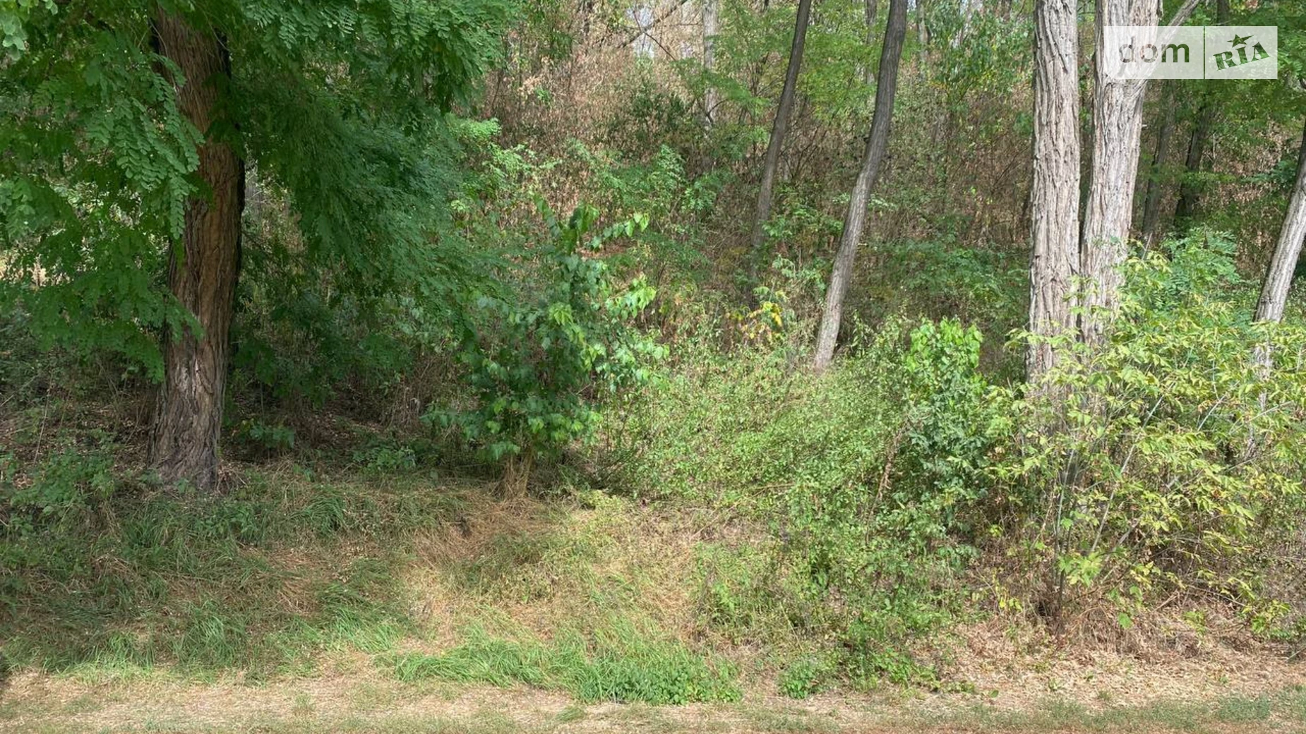 Старые Безрадичи, цена: 320000 $ - фото 2