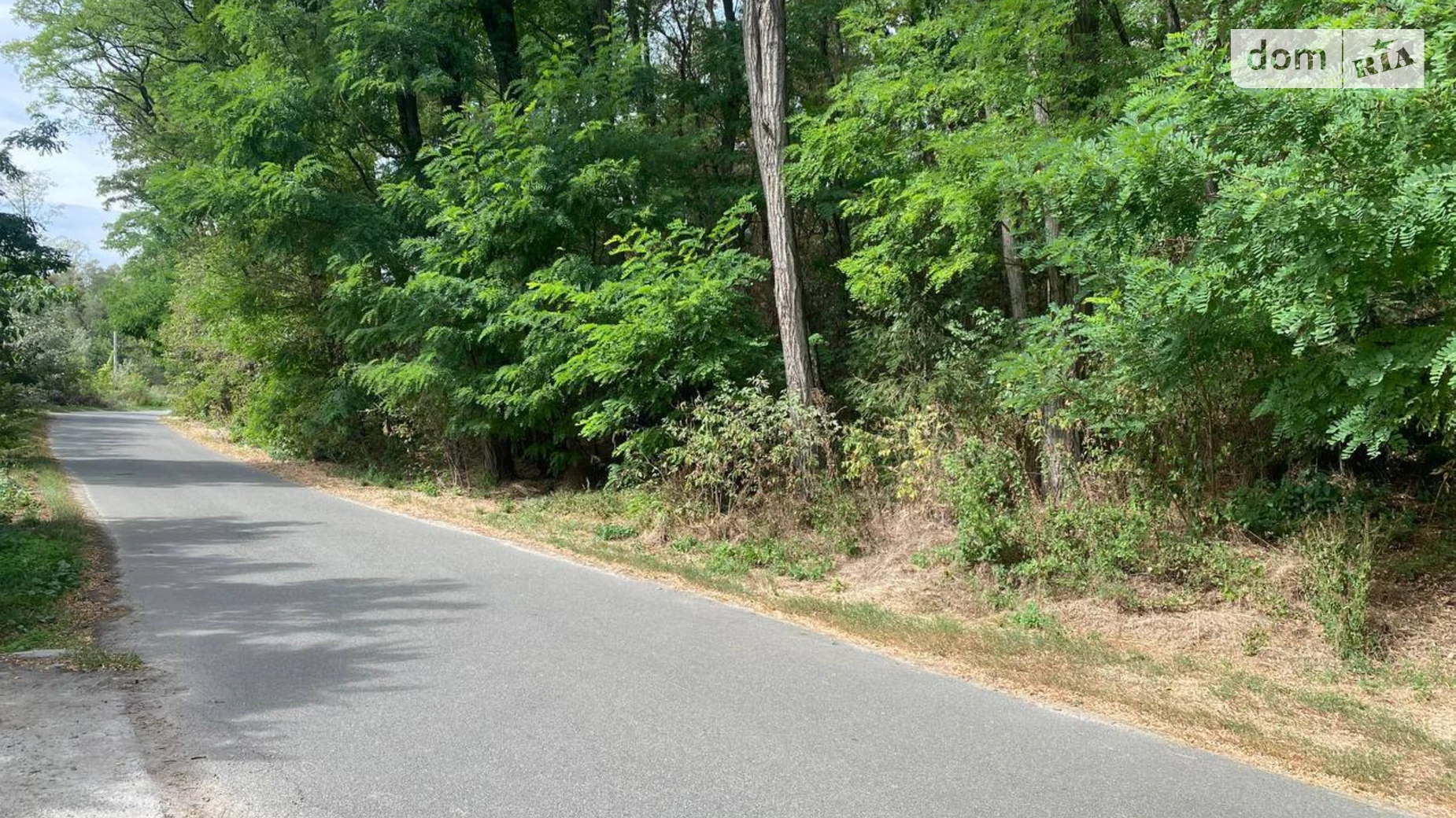 Старые Безрадичи, цена: 320000 $ - фото 3