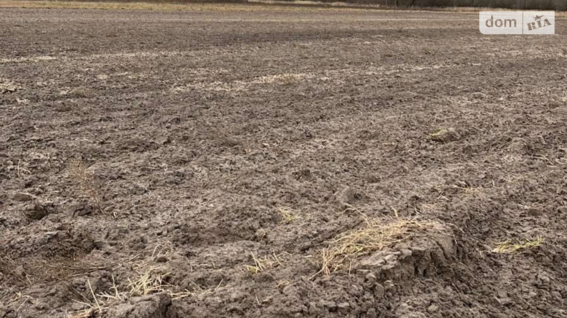 Здається в оренду земельна ділянка 16.2929 соток у  області, цена: 29648 грн - фото 2