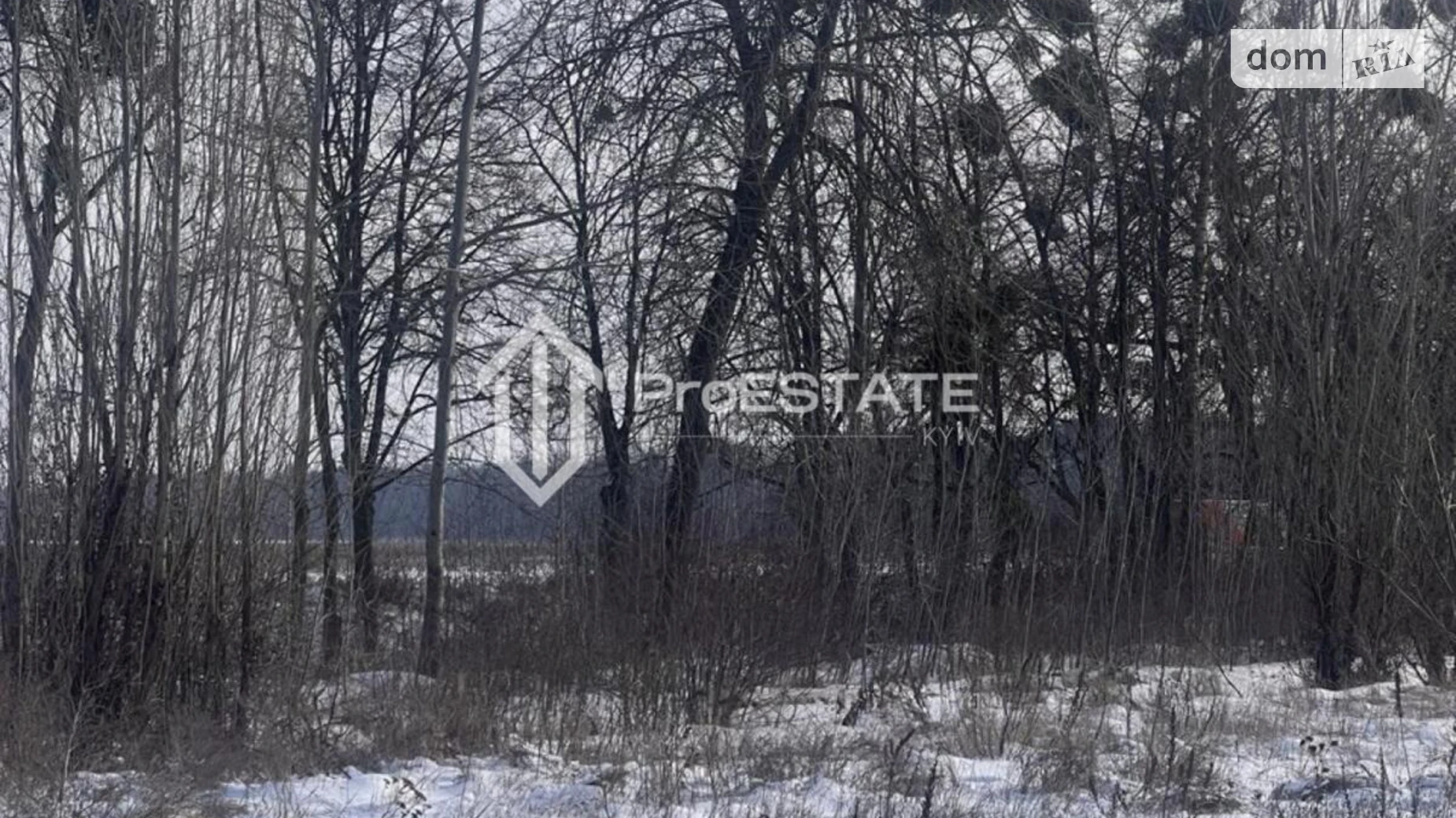 Продается земельный участок 200 соток в Киевской области, цена: 30000 $ - фото 3
