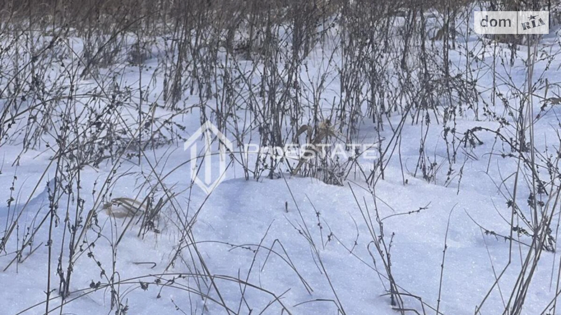 Продается земельный участок 200 соток в Киевской области, цена: 30000 $ - фото 5