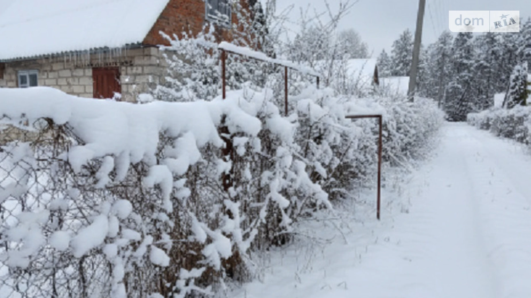мас. Ива Петрик, цена: 9000 $ - фото 2