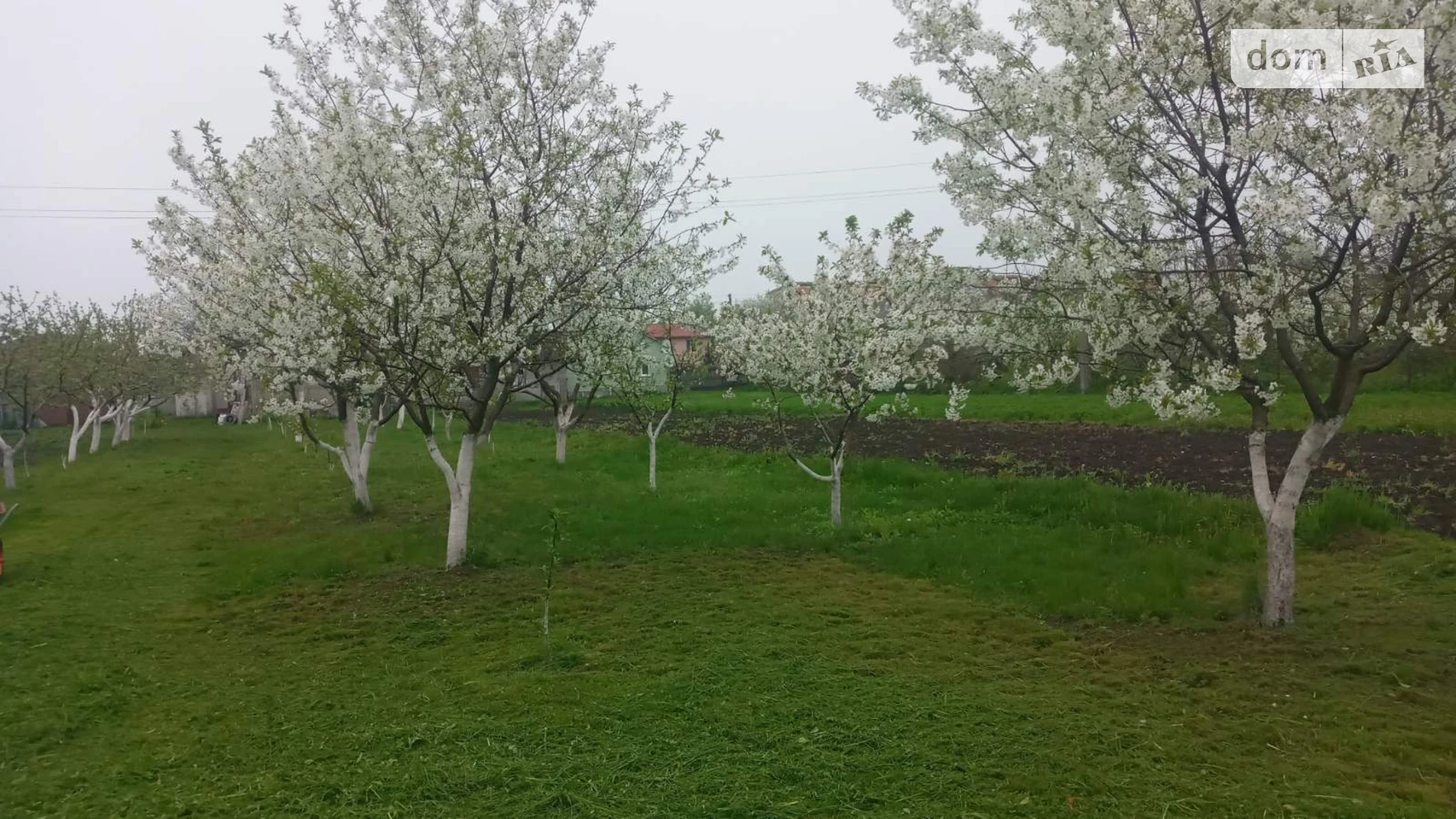 ул. Калантаевская(Петровского) Котельва, цена: 25000 $ - фото 5