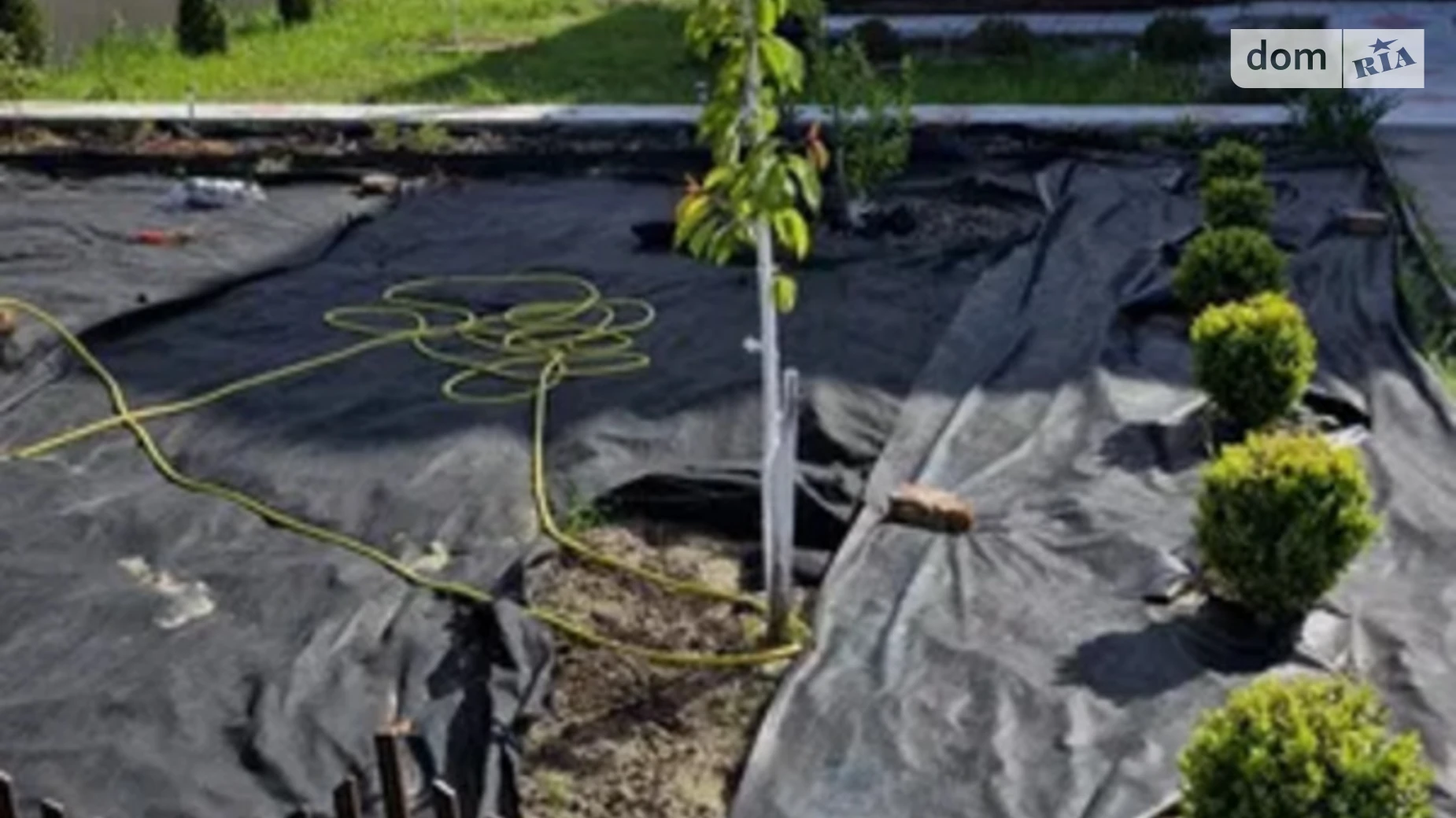 Дачнтй кооператив вогник Киселевка (Чернигов), цена: 36000 $ - фото 3