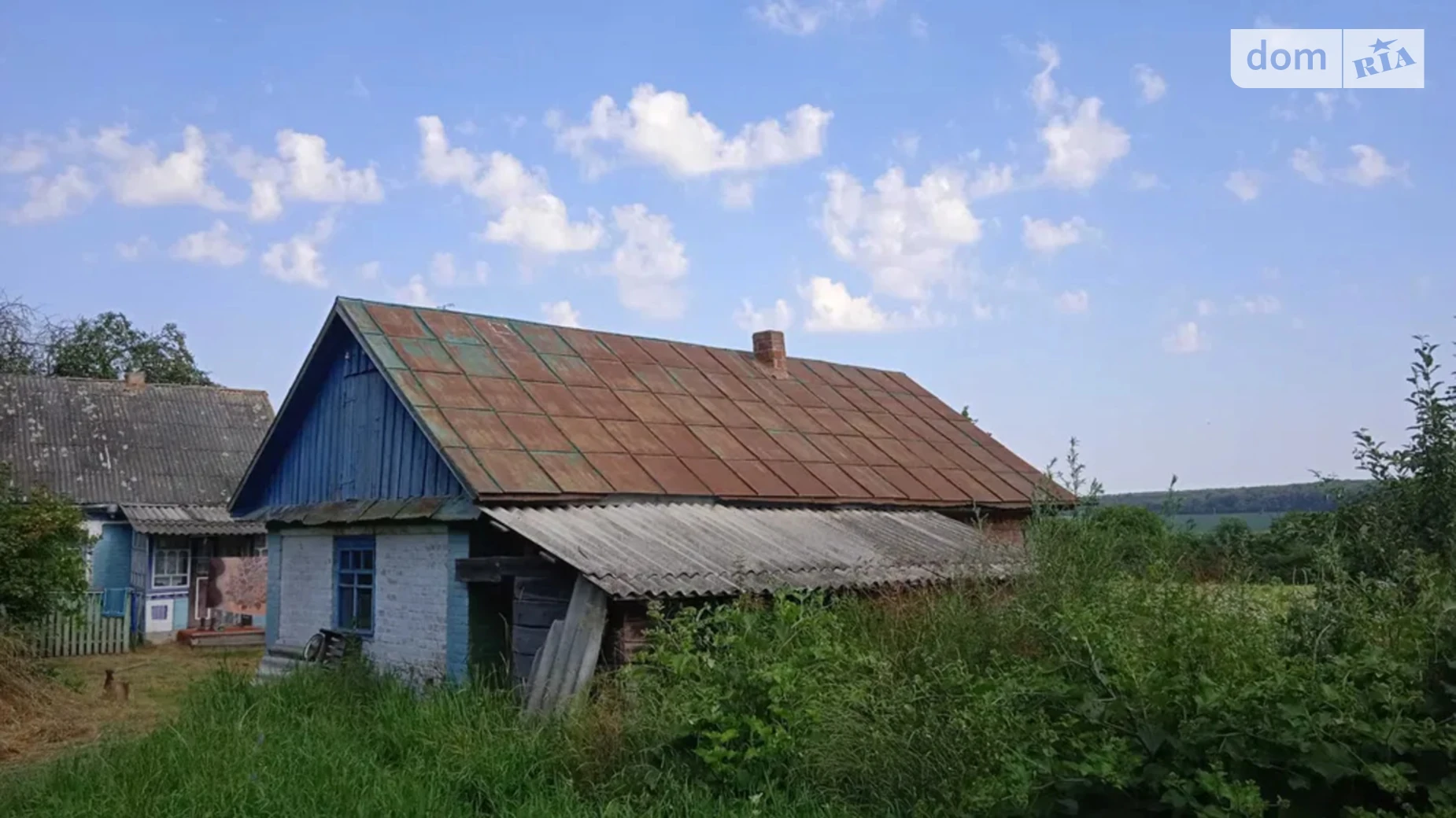 Чорноволика Жерденевка, цена: 5500 $ - фото 2