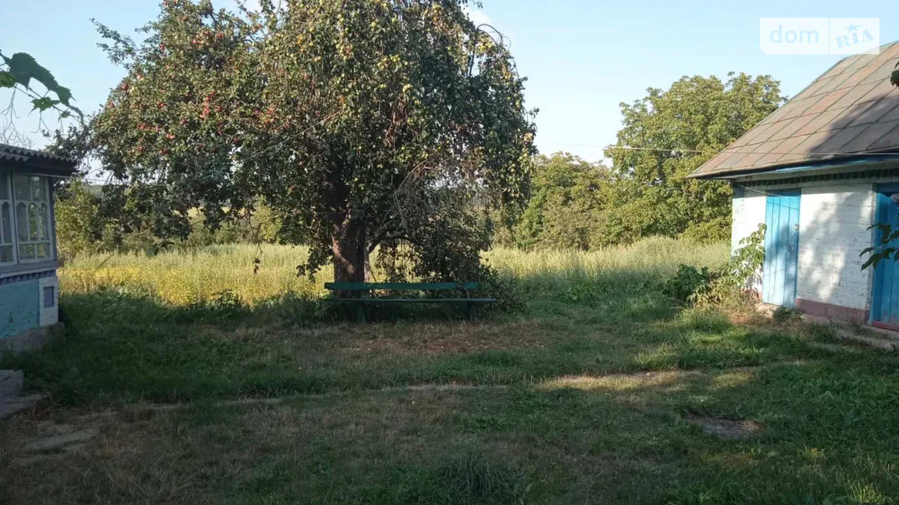 Чорноволика Жерденевка, цена: 5500 $ - фото 5