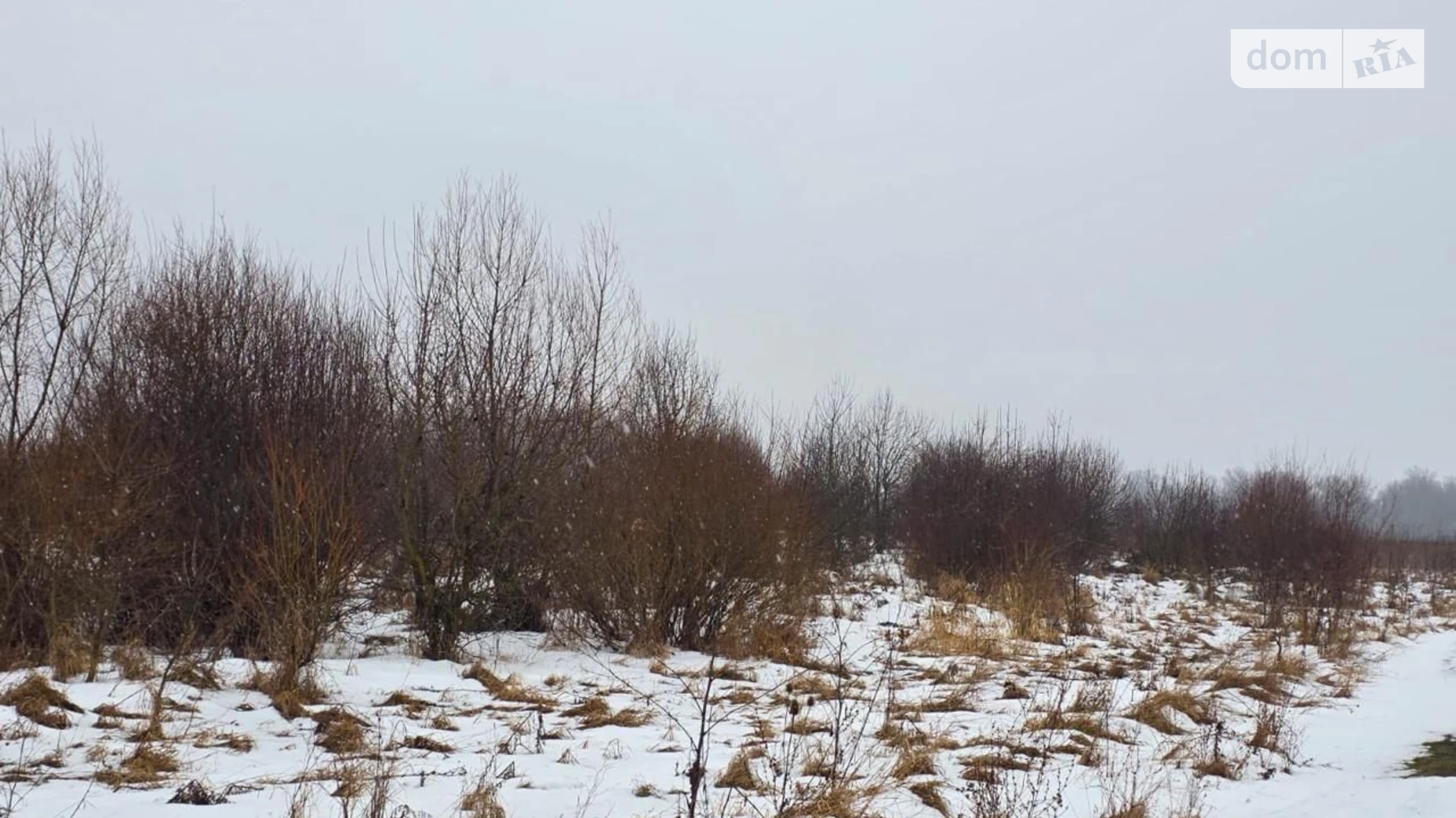 Черепковцы, цена: 41853 грн - фото 2