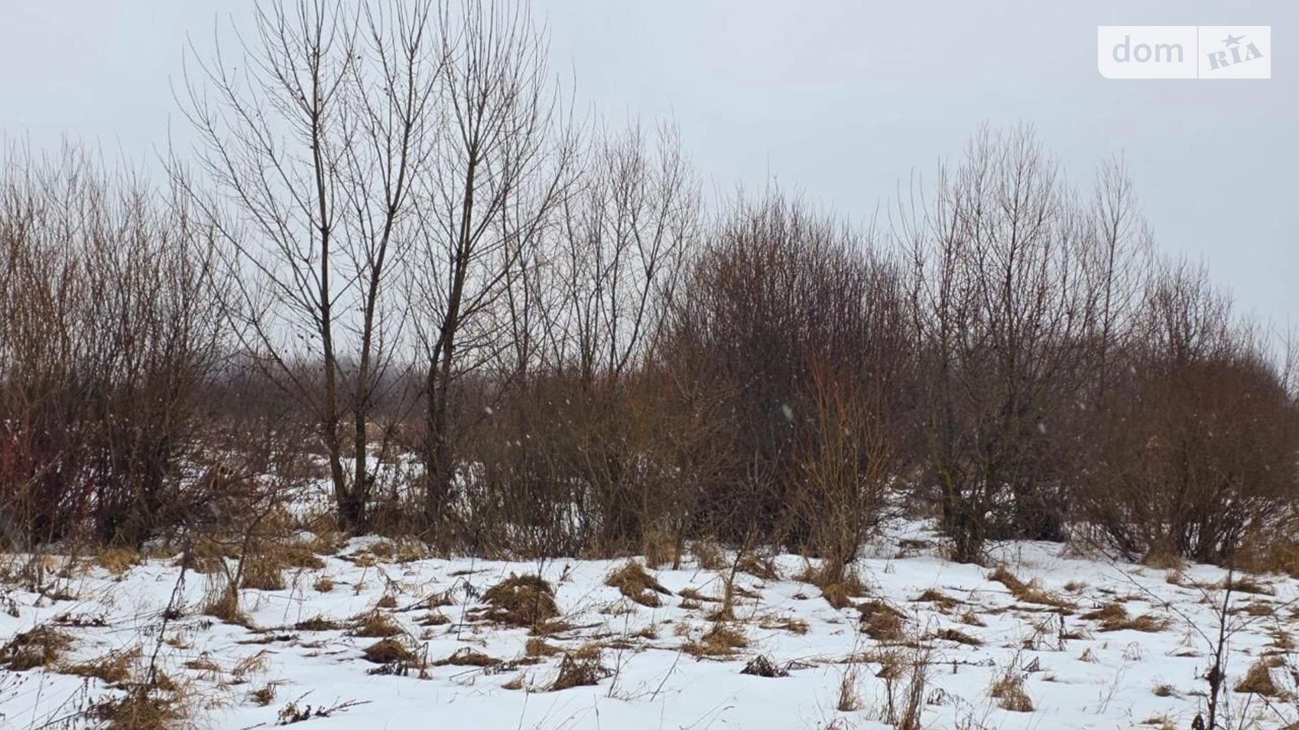 Черепковцы, цена: 41853 грн - фото 3