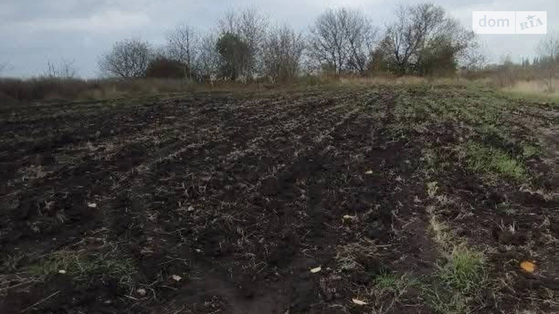 Продається земельна ділянка 12 соток у Вінницькій області, цена: 13000 $ - фото 2