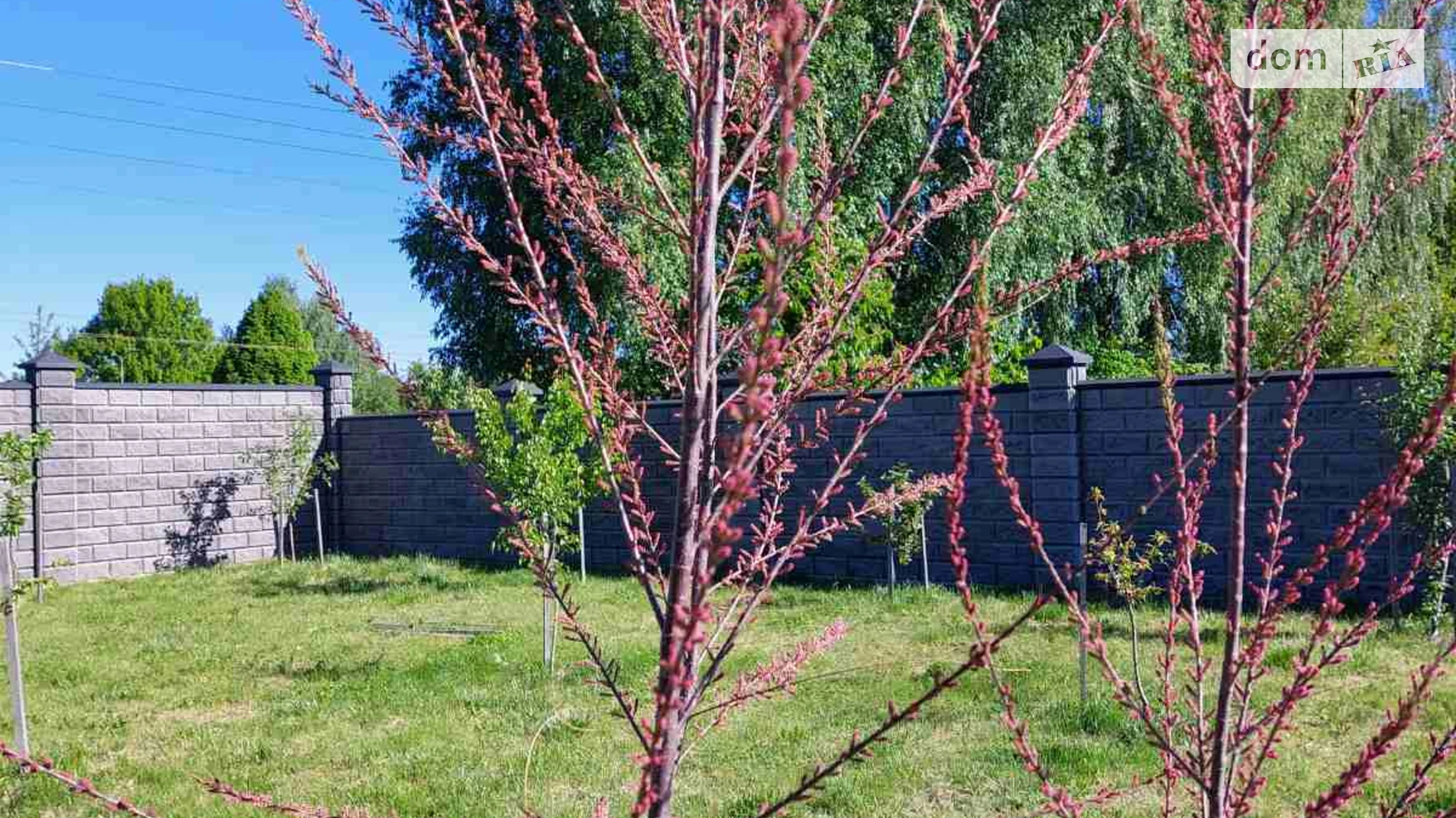 Продается земельный участок 10 соток в Волынской области, цена: 115000 $ - фото 2