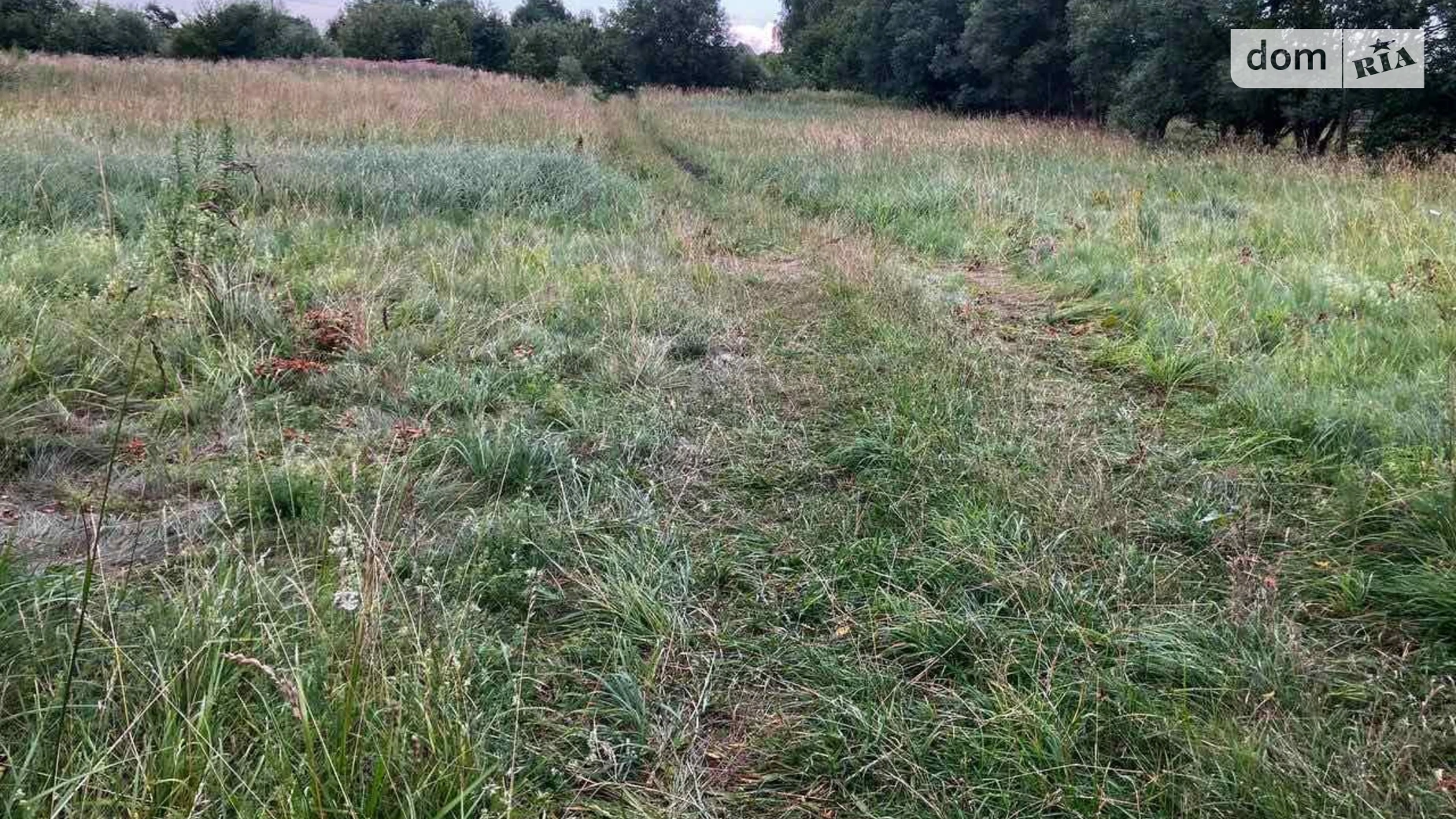 Продается земельный участок 10 соток в Львовской области, цена: 12000 $ - фото 5