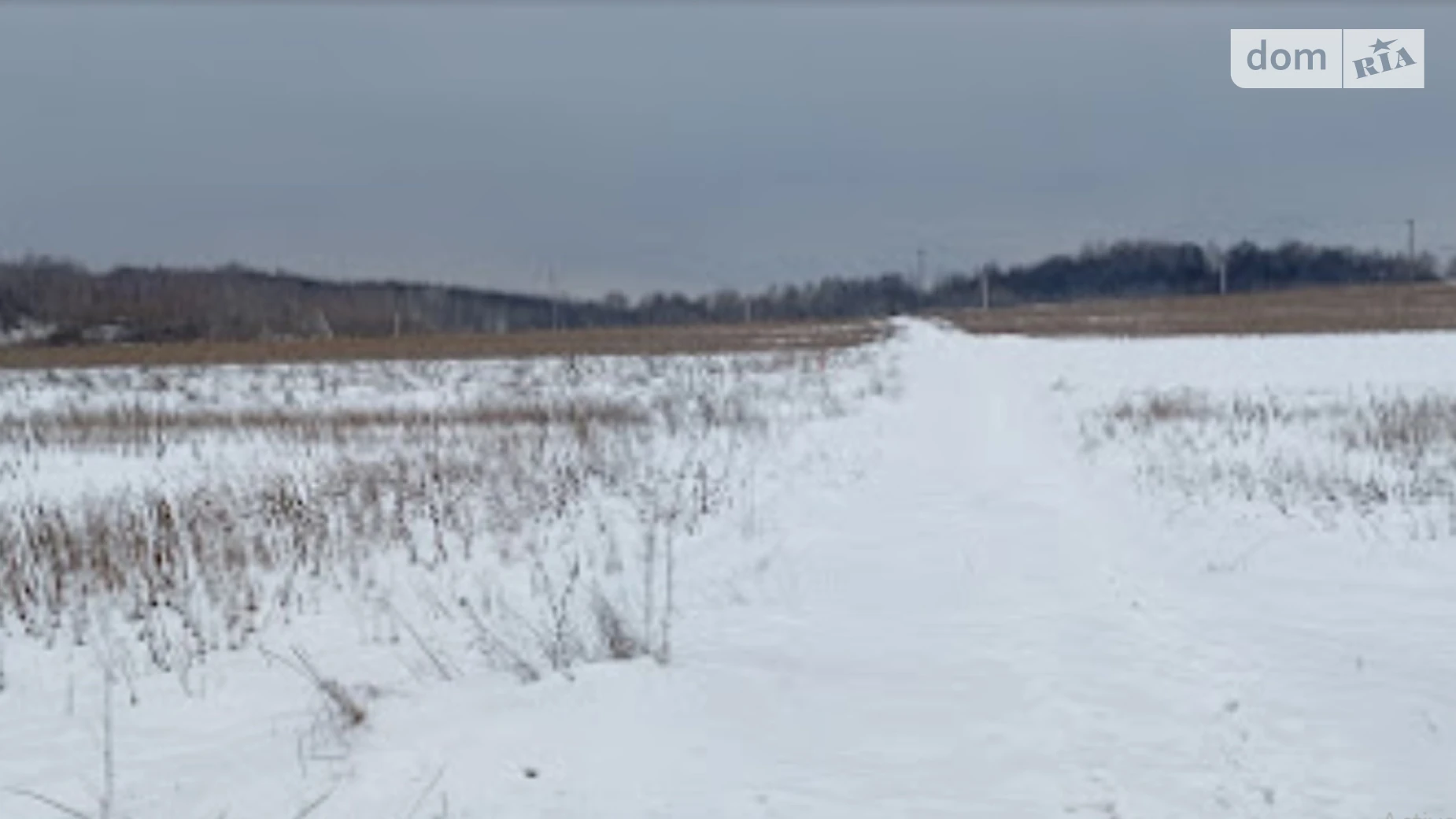 Продается земельный участок 28.73 соток в Ивано-Франковской области, цена: 5000 $ - фото 5