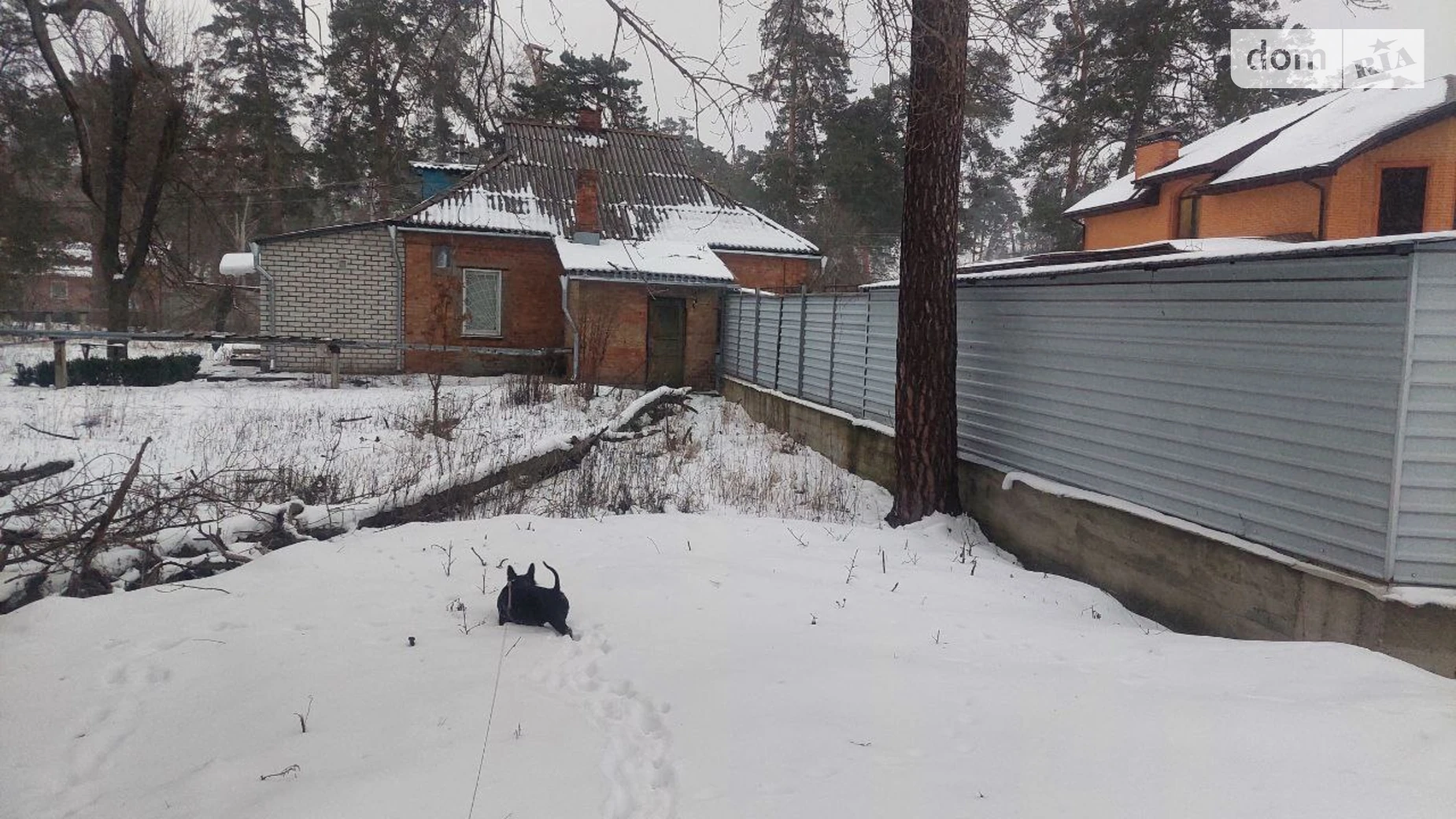 Продается земельный участок 30 соток в Черкасской области, цена: 450000 $ - фото 3