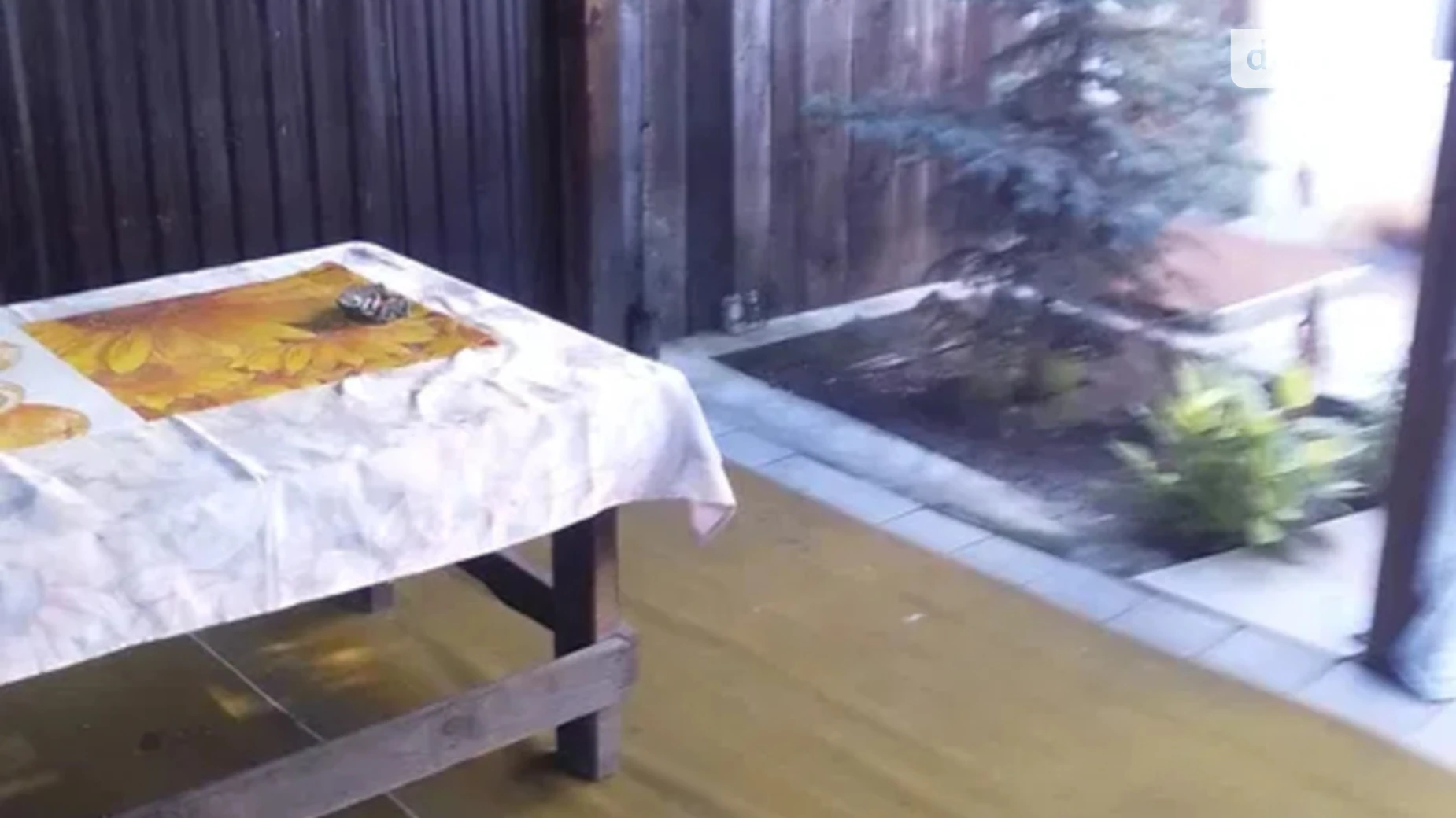 Здається в оренду одноповерховий будинок 100 кв. м з садом, цена: 5000 грн - фото 5