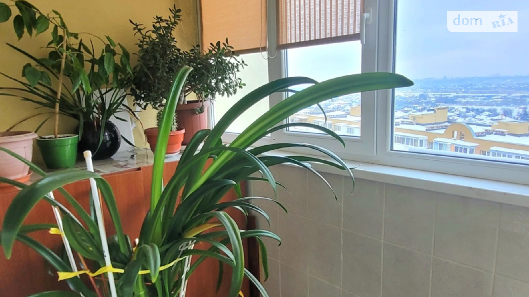 Здається в оренду 2-кімнатна квартира 90 кв. м у Харкові, вул. Гвардійців-Широнінців, 29А - фото 5