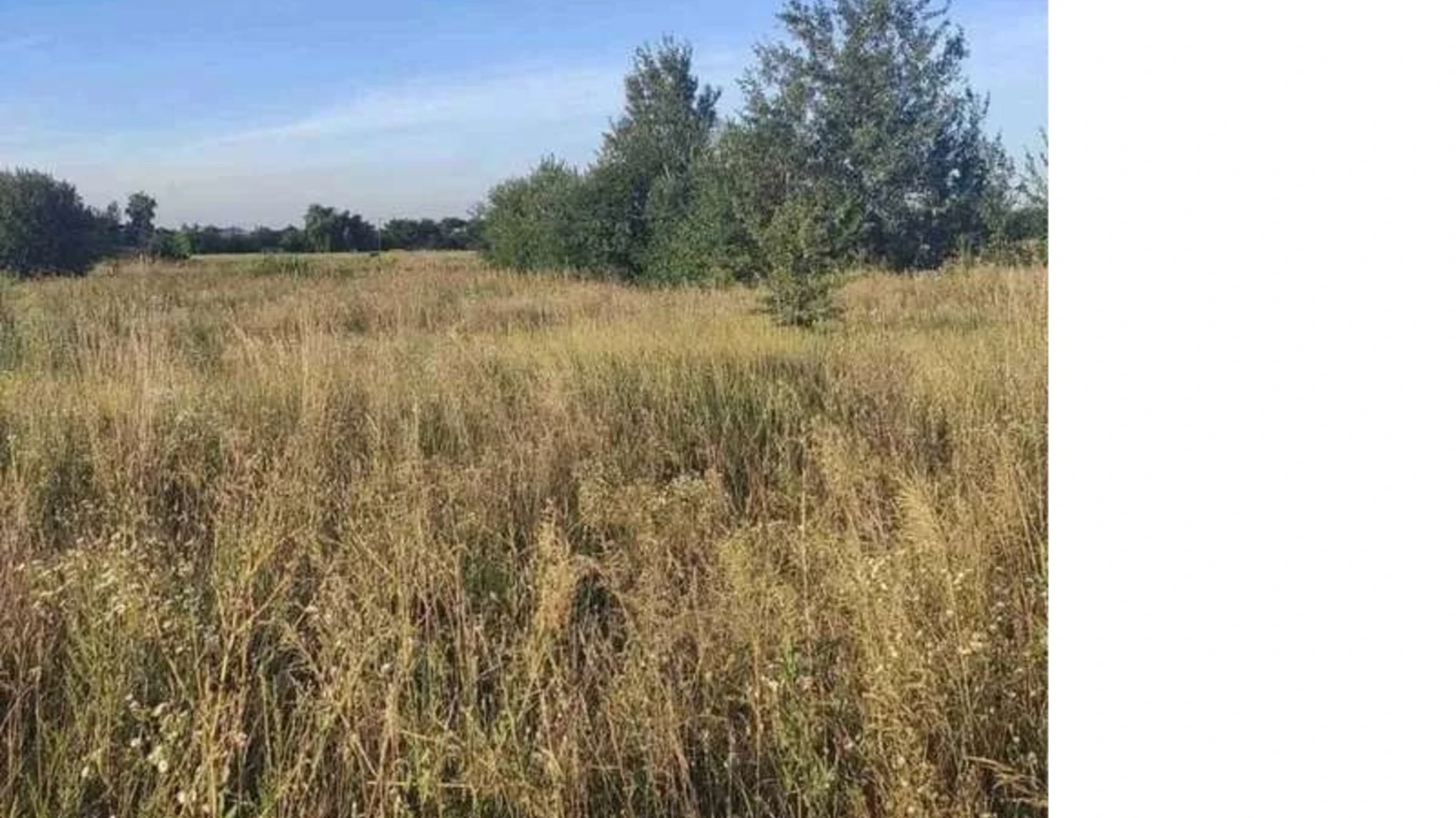 Продается земельный участок 10 соток в Киевской области, цена: 10000 $ - фото 2