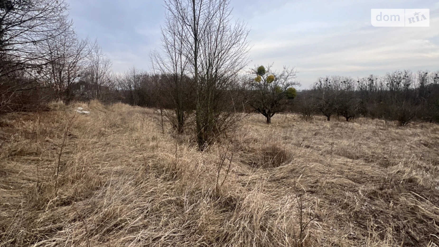 Продается земельный участок 10 соток в Киевской области, цена: 10000 $ - фото 5