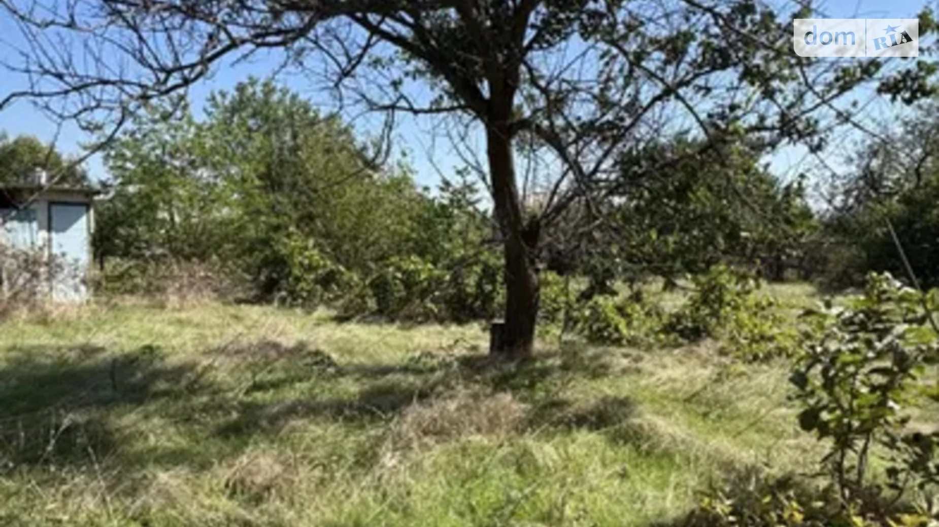 Садове товариство Виноградне Старая Богдановка, цена: 3500 $ - фото 4