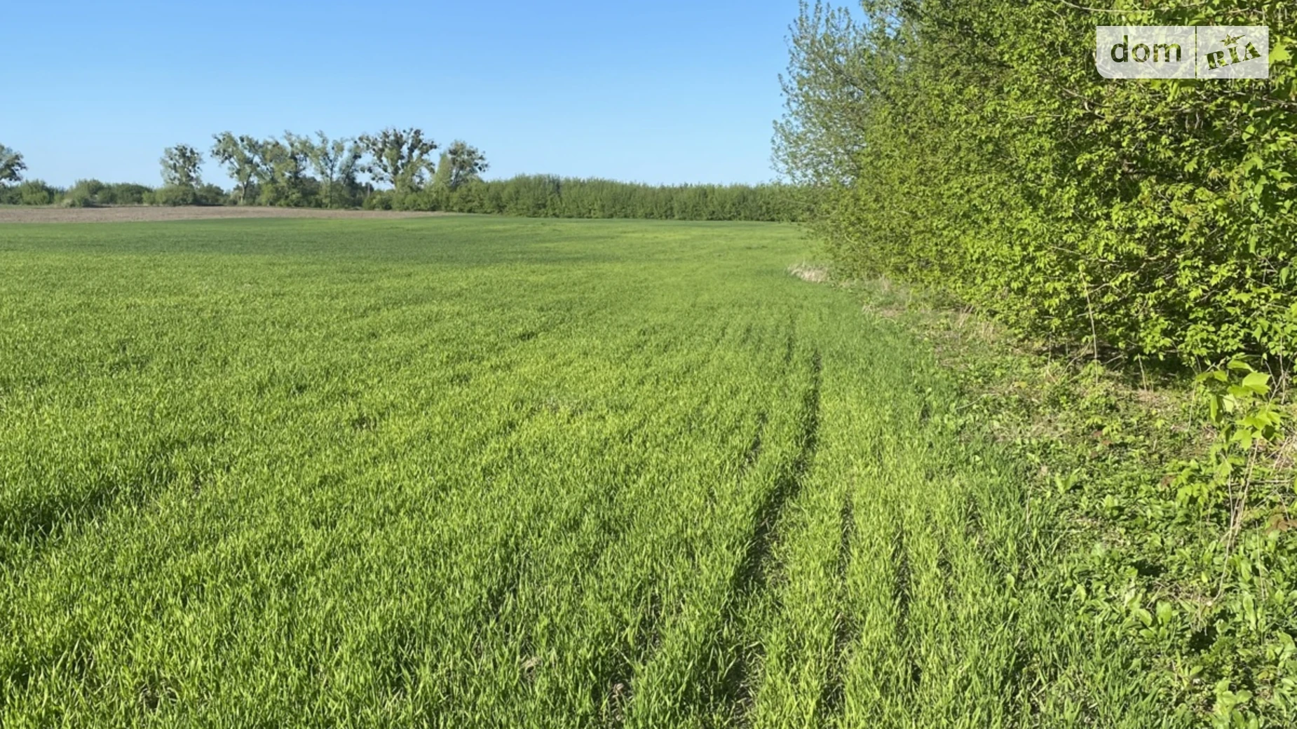 Млинівська Обаров, цена: 97000 $ - фото 2