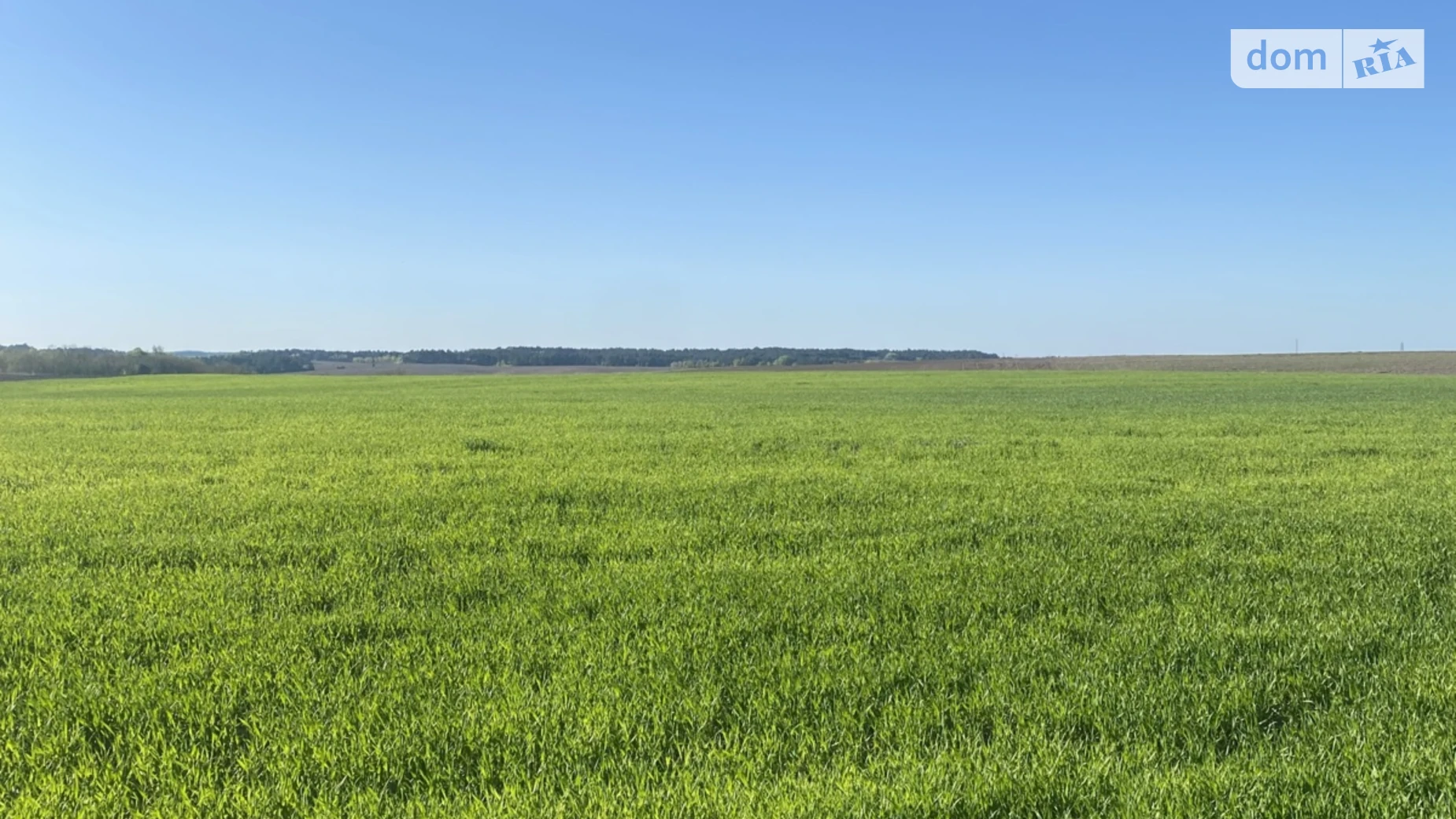 Млинівська Обаров, цена: 97000 $ - фото 3