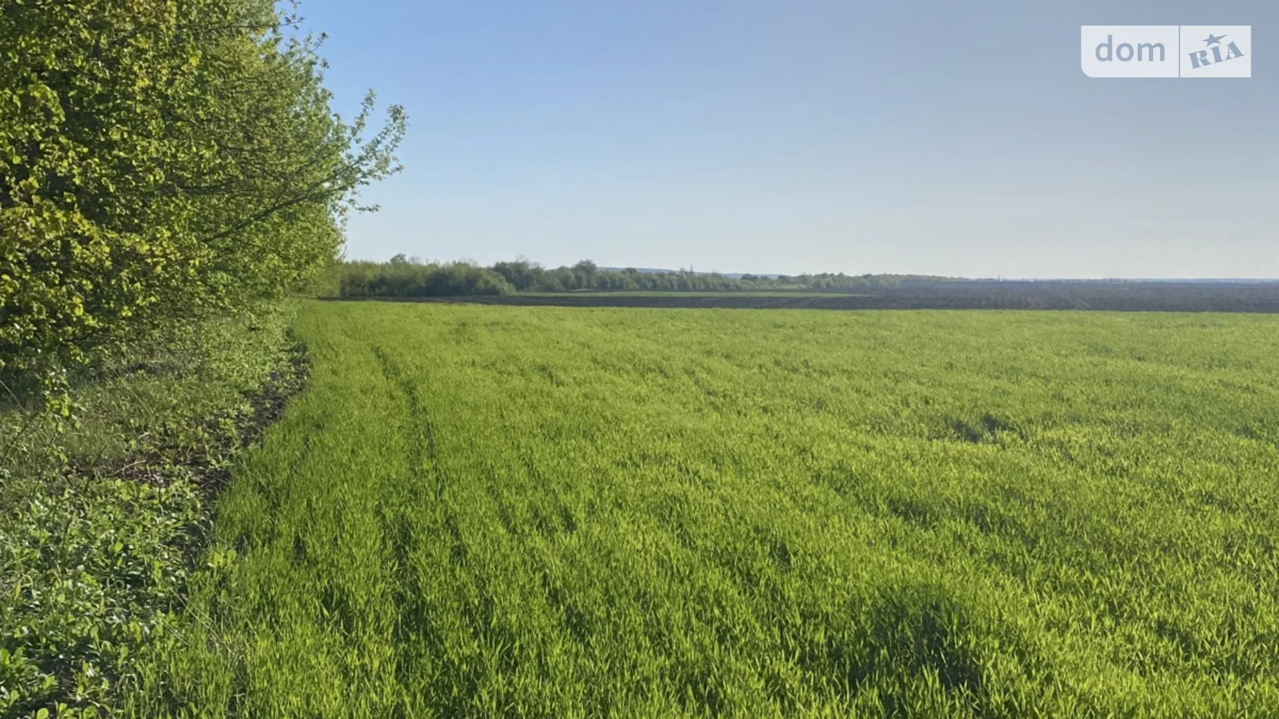 Млинівська Обаров, цена: 97000 $ - фото 4