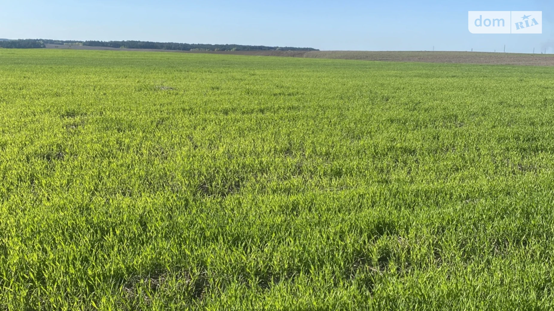 Млинівська Обаров, цена: 97000 $ - фото 5