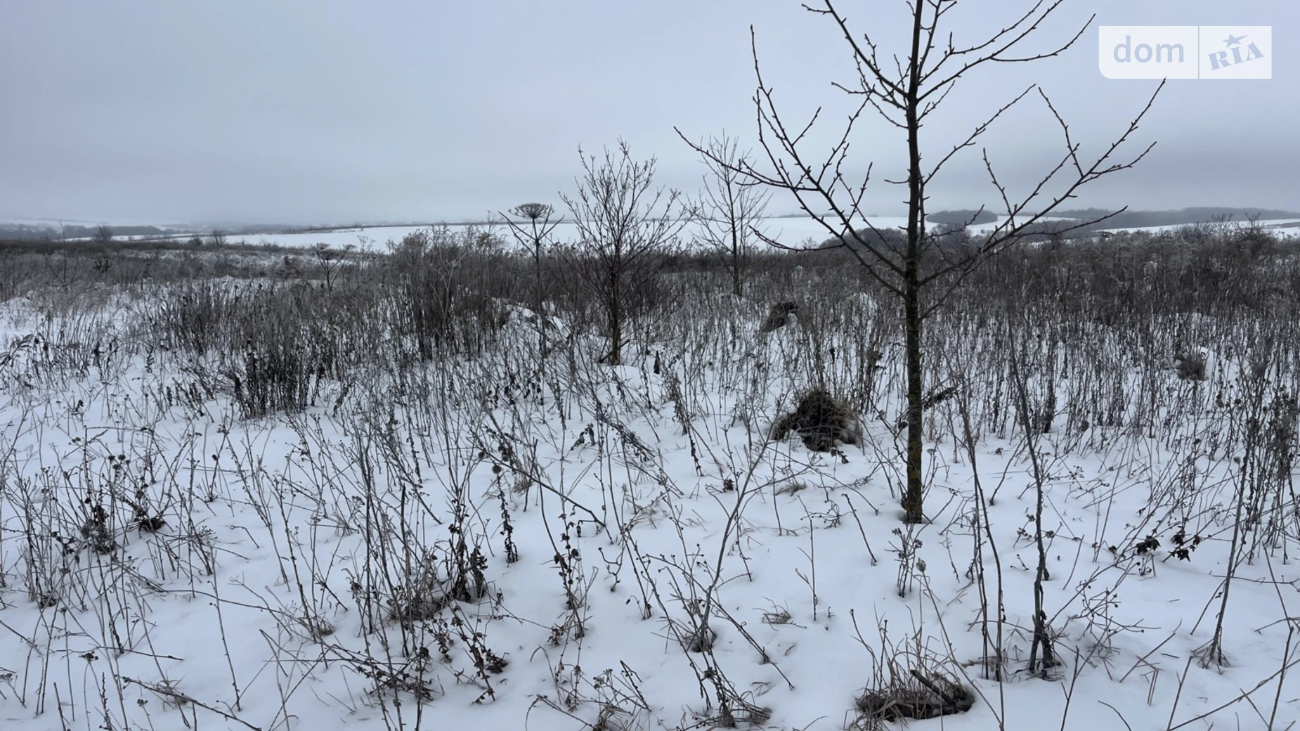 Продается земельный участок 15 соток в Хмельницкой области, цена: 9000 $ - фото 5