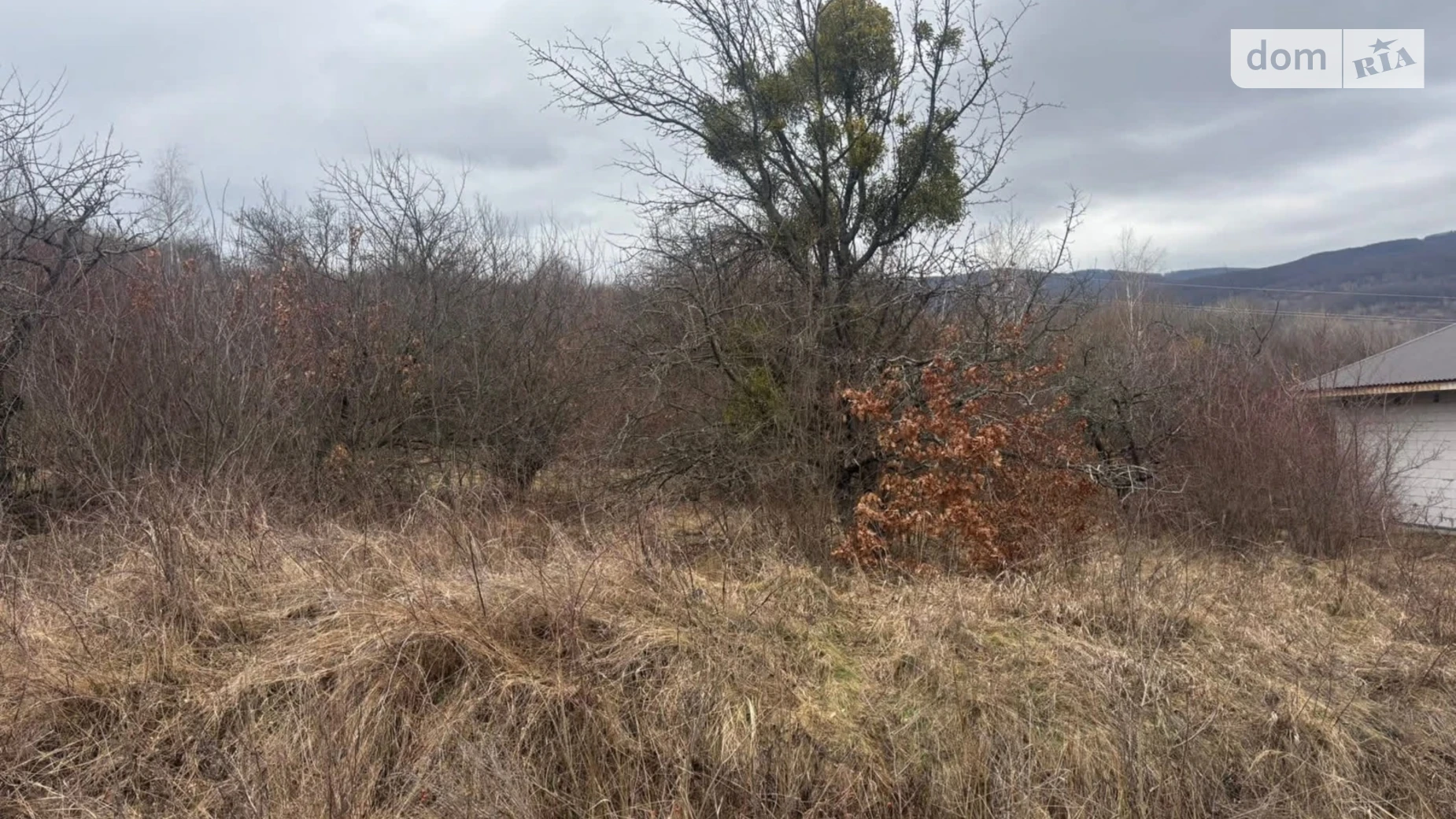 Продается земельный участок 10.4 соток в Закарпатской области, цена: 9500 $ - фото 2