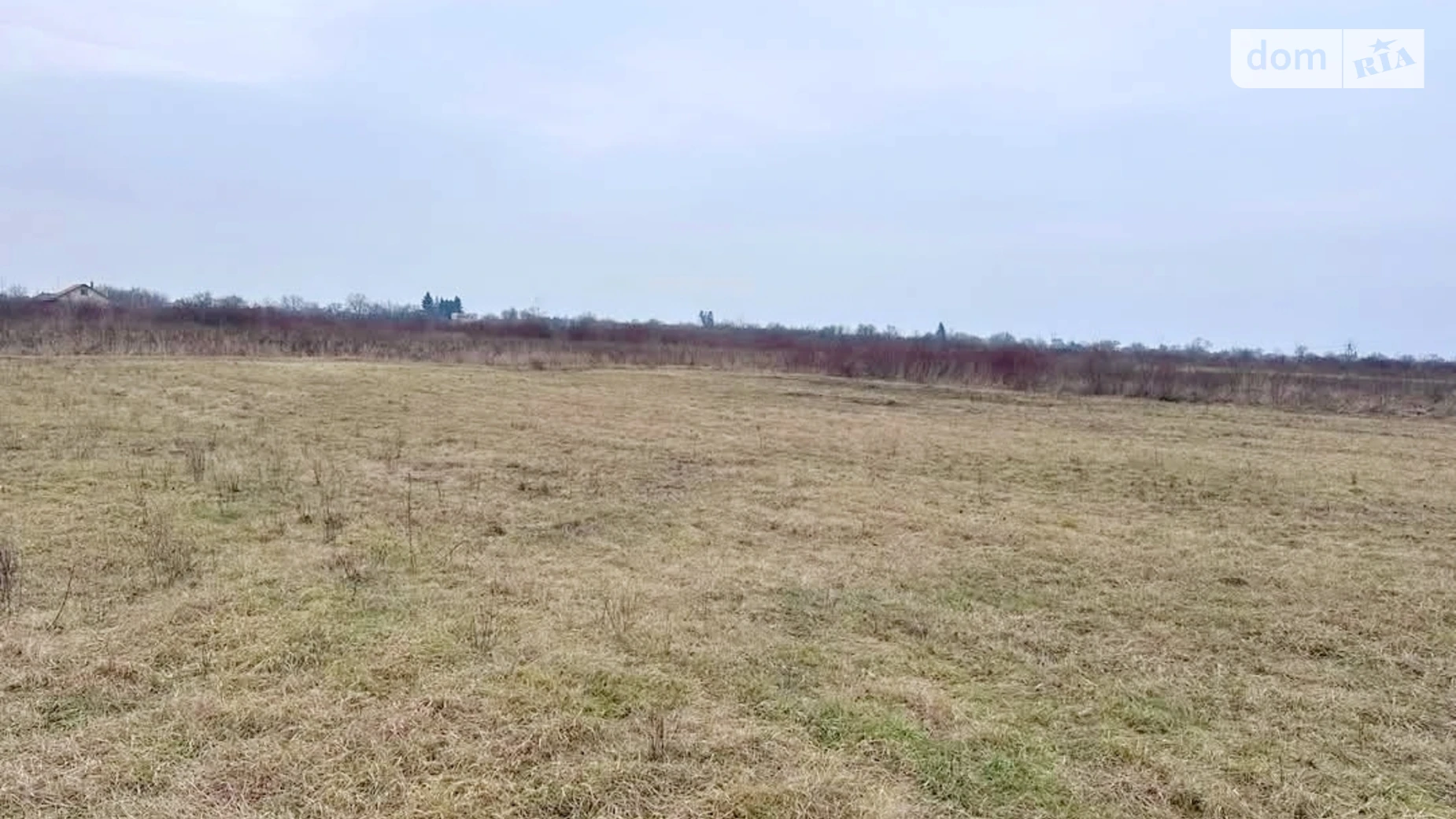 Продается земельный участок 10 соток в Закарпатской области, цена: 12000 $ - фото 5