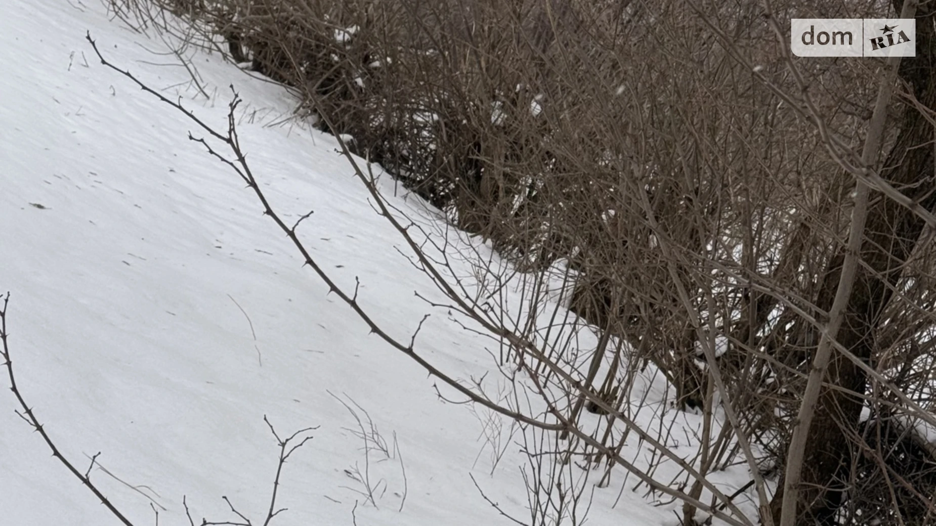 Продается земельный участок 16 соток в Хмельницкой области, цена: 6000 $ - фото 3