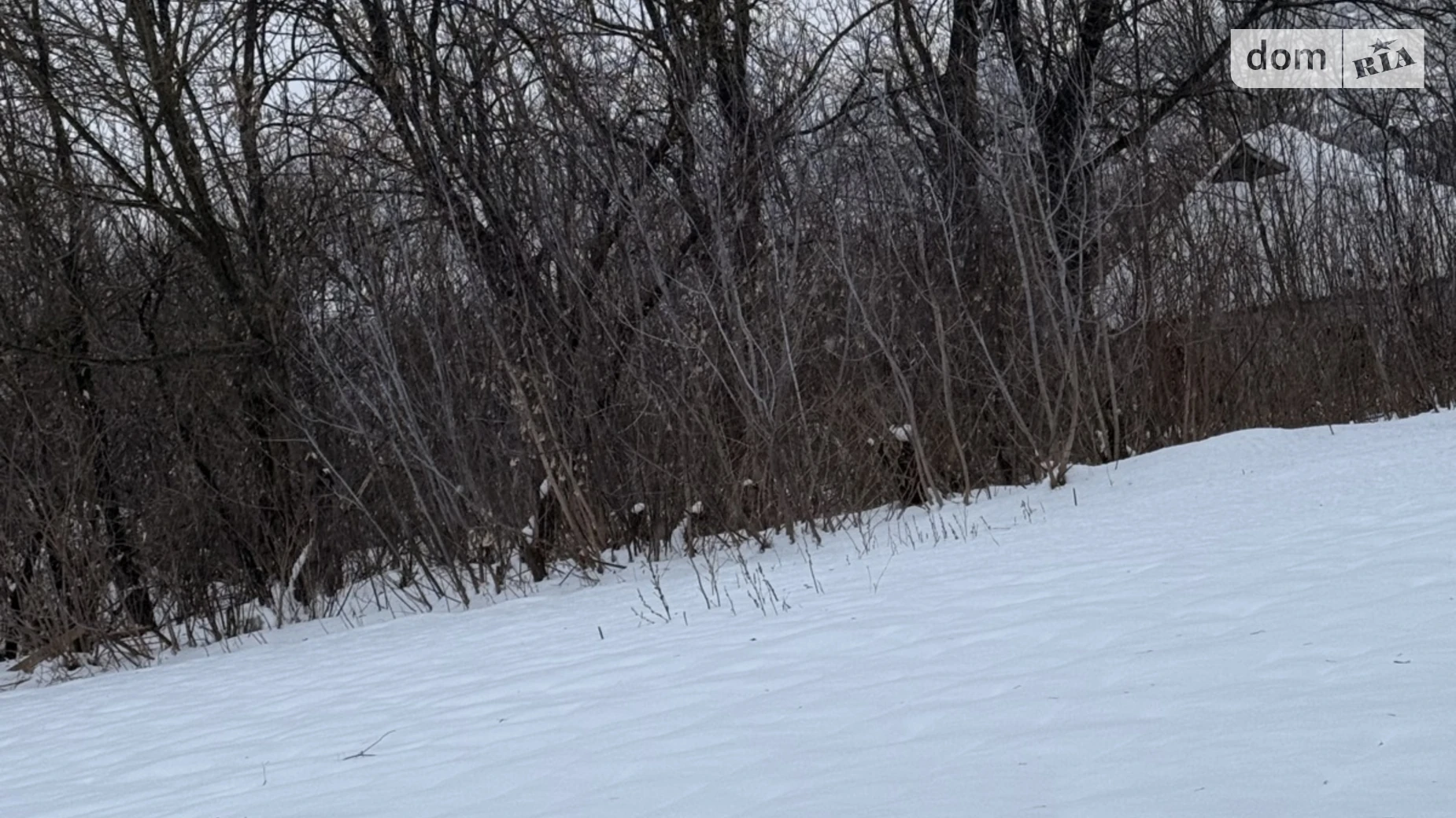 Продается земельный участок 16 соток в Хмельницкой области, цена: 6000 $ - фото 4