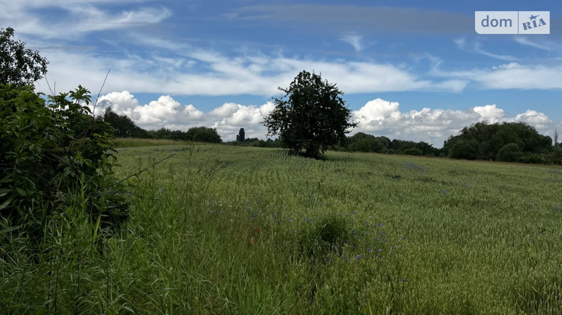 Продается одноэтажный дом 88.5 кв. м с подвалом, цена: 11500 $ - фото 4