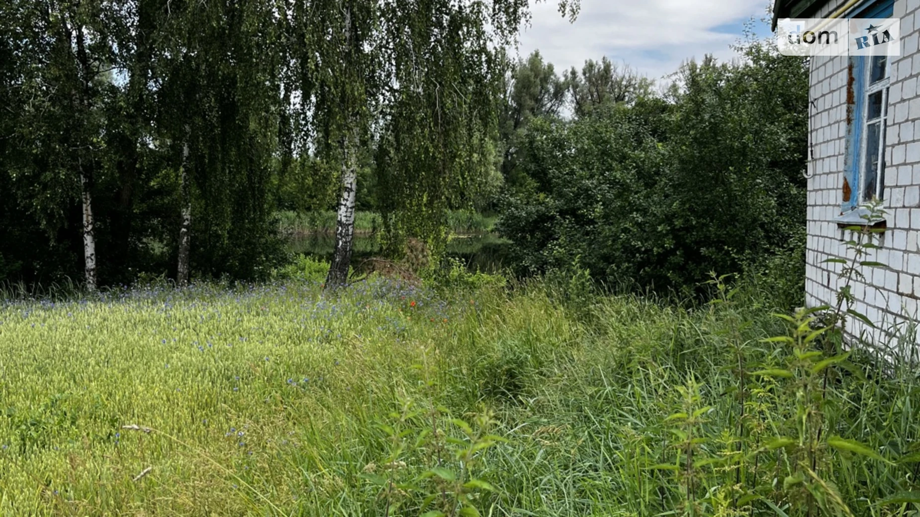 Продается одноэтажный дом 88.5 кв. м с подвалом, цена: 11500 $ - фото 5