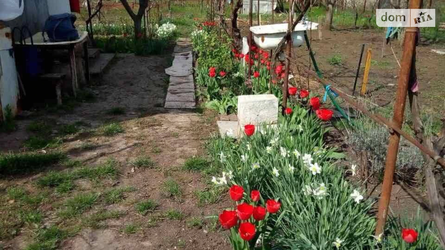 вулиця Садова Доброалександровка, цена: 7000 $ - фото 4