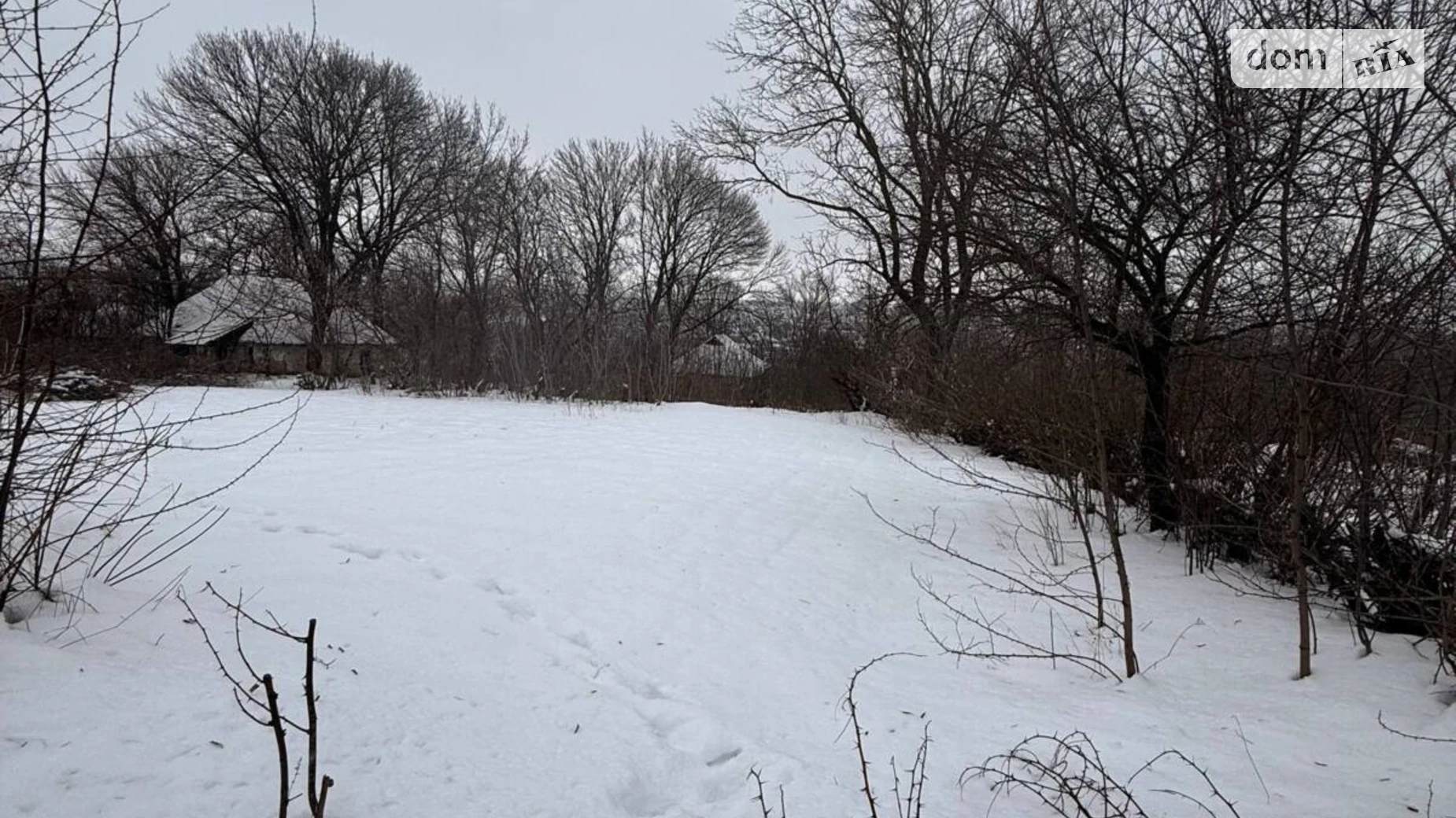 Продается земельный участок 16 соток в Хмельницкой области, цена: 6000 $ - фото 5