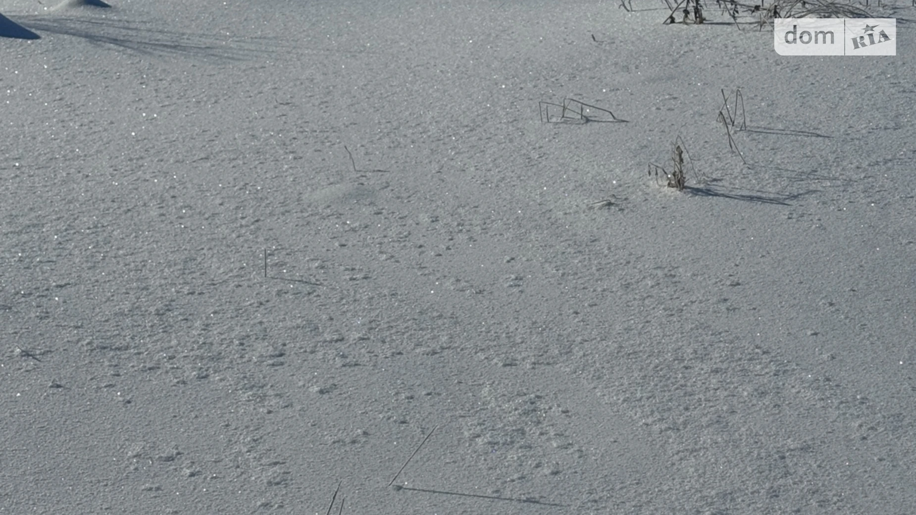 ул. Цветочная Зарванцы, цена: 44000 $ - фото 5