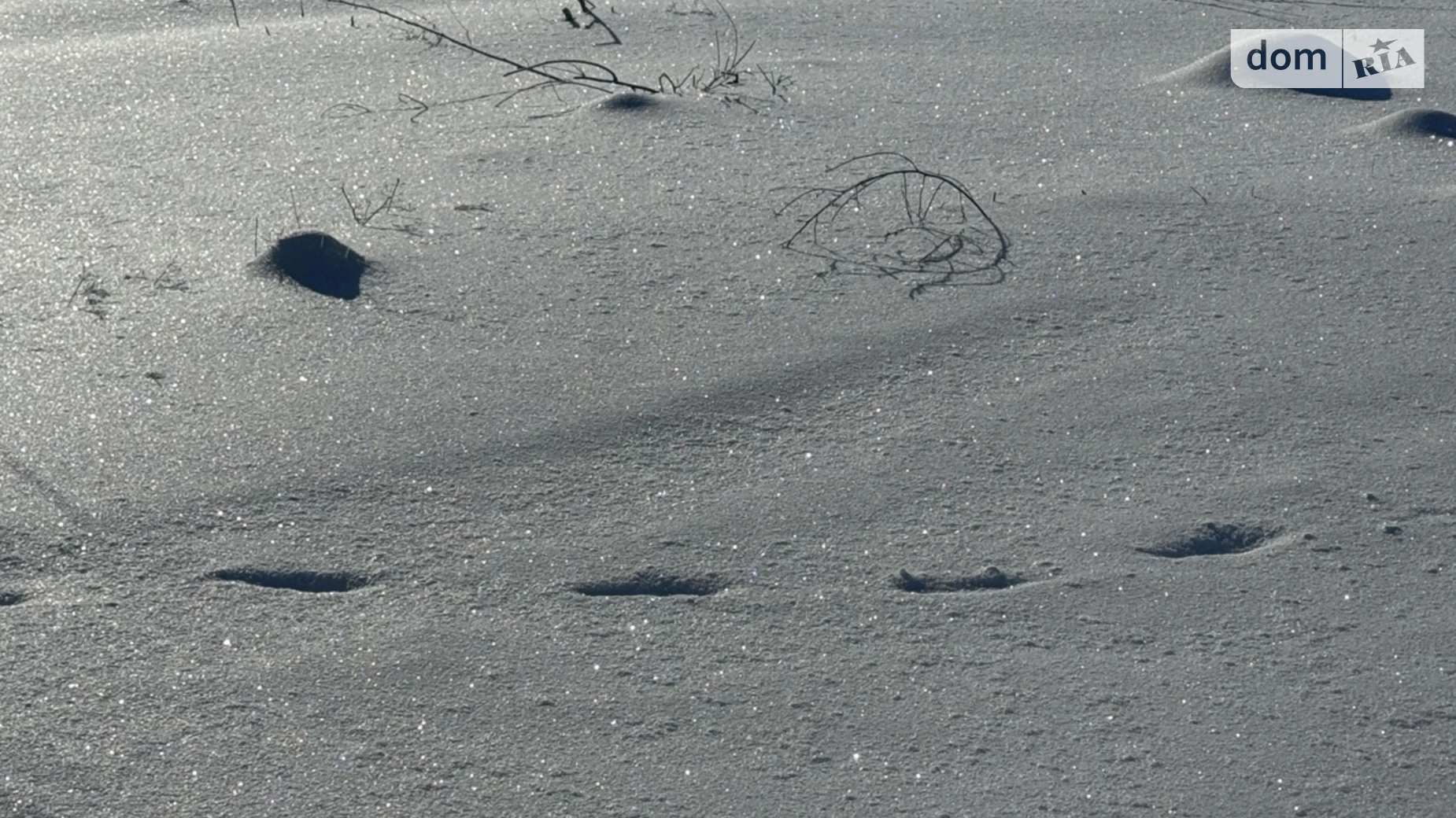 ул. Цветочная Зарванцы, цена: 44000 $ - фото 4