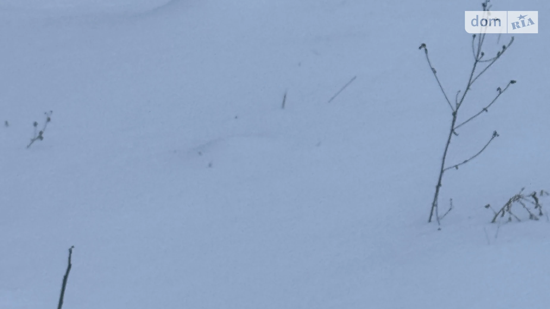 ул. Цветочная Зарванцы, цена: 42000 $ - фото 3