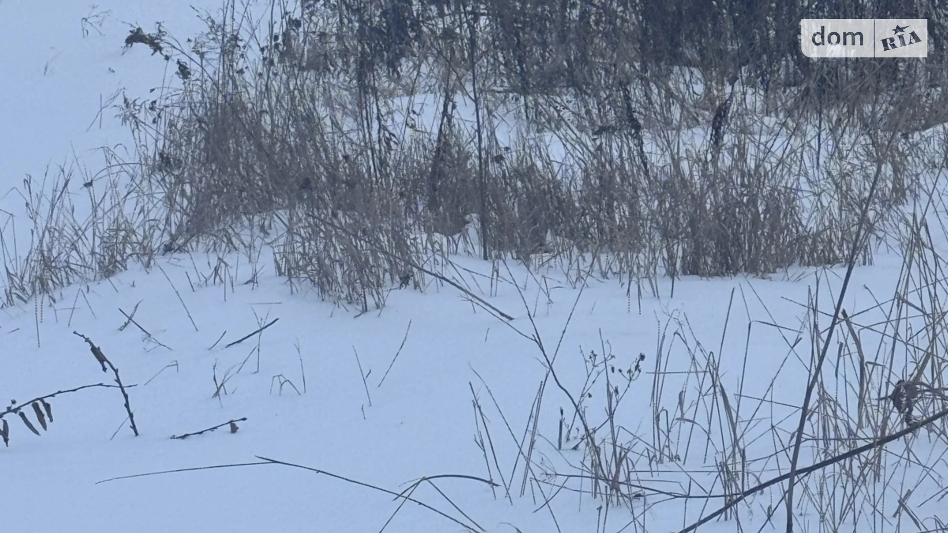 ул. Цветочная Зарванцы, цена: 42000 $ - фото 4