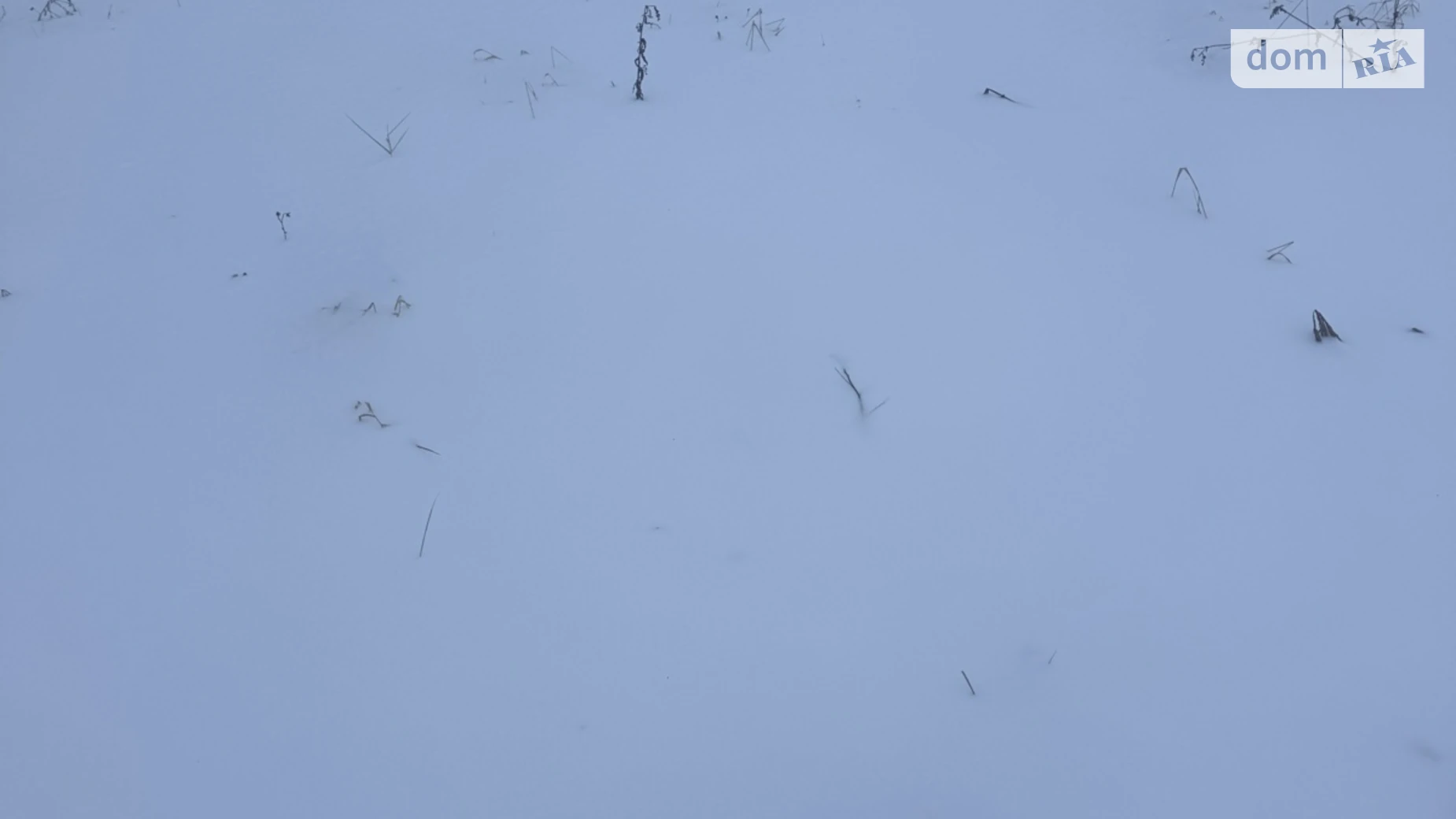 ул. Цветочная Зарванцы, цена: 42000 $ - фото 5