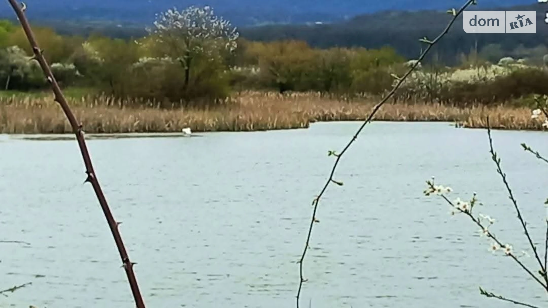 Продается земельный участок 948 соток в Закарпатской области, цена: 15500 $ - фото 3