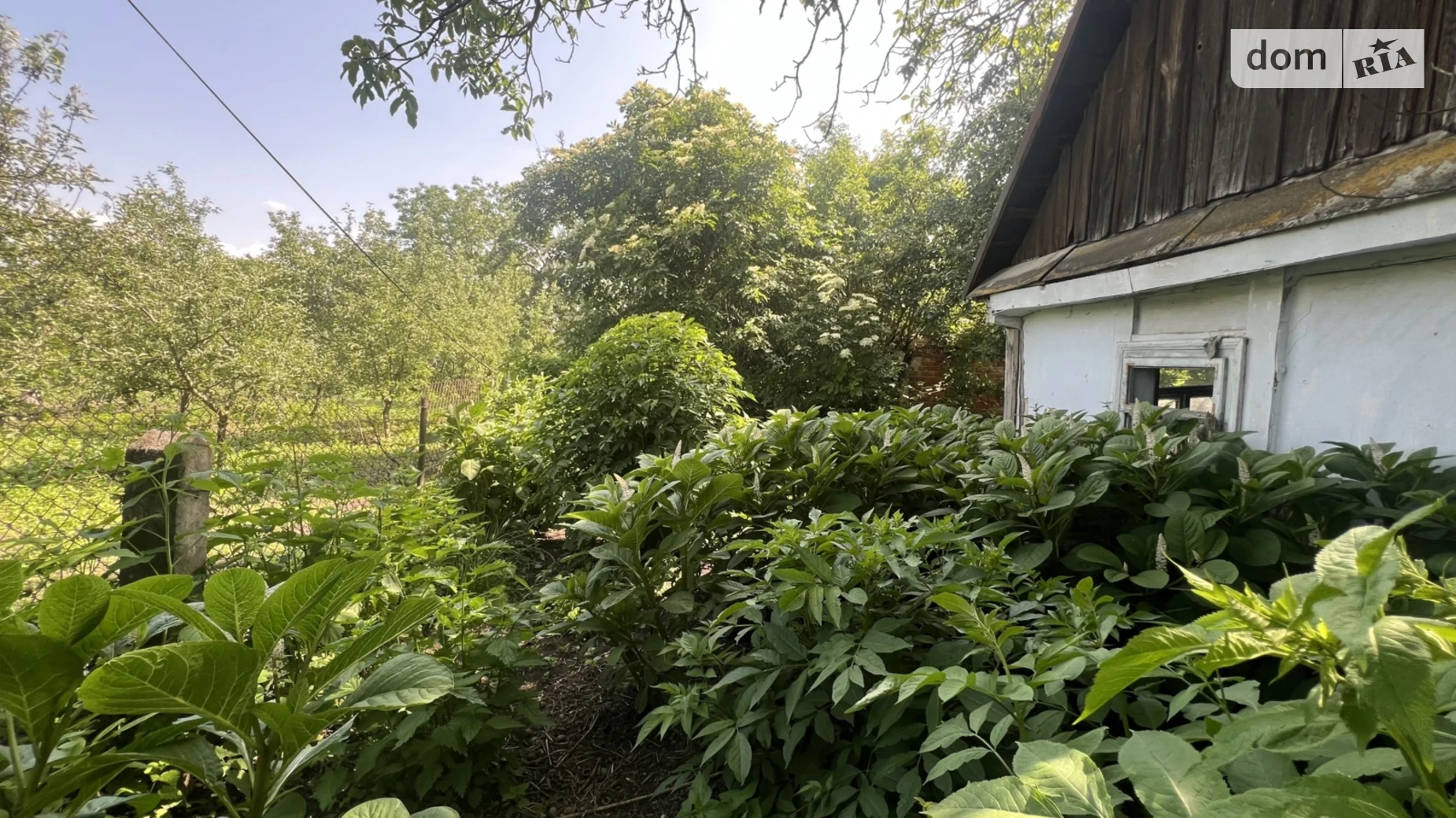 Продается земельный участок 8.8 соток в Ровенской области, цена: 7500 $ - фото 3