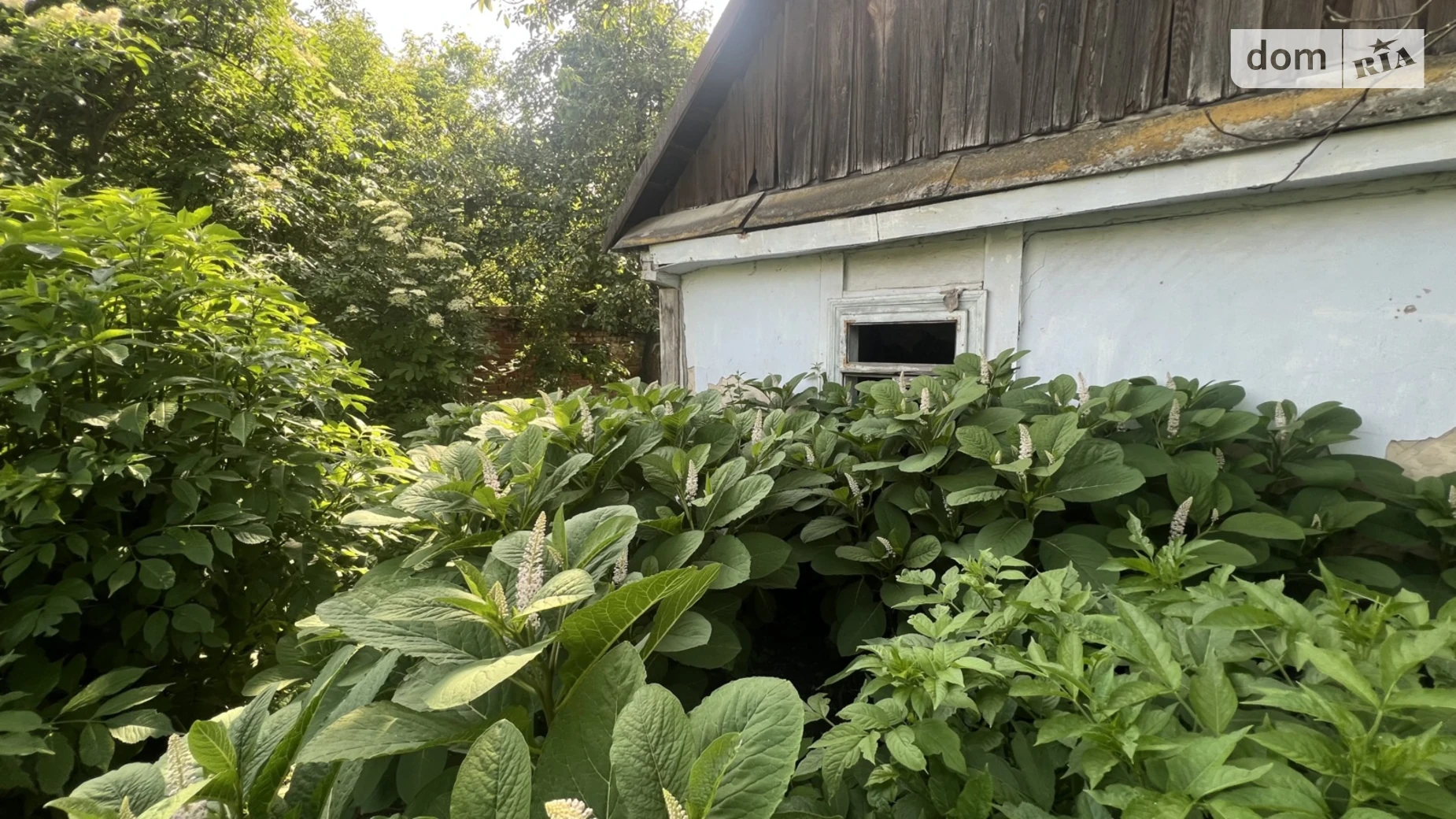 Продается земельный участок 8.8 соток в Ровенской области, цена: 7500 $ - фото 4