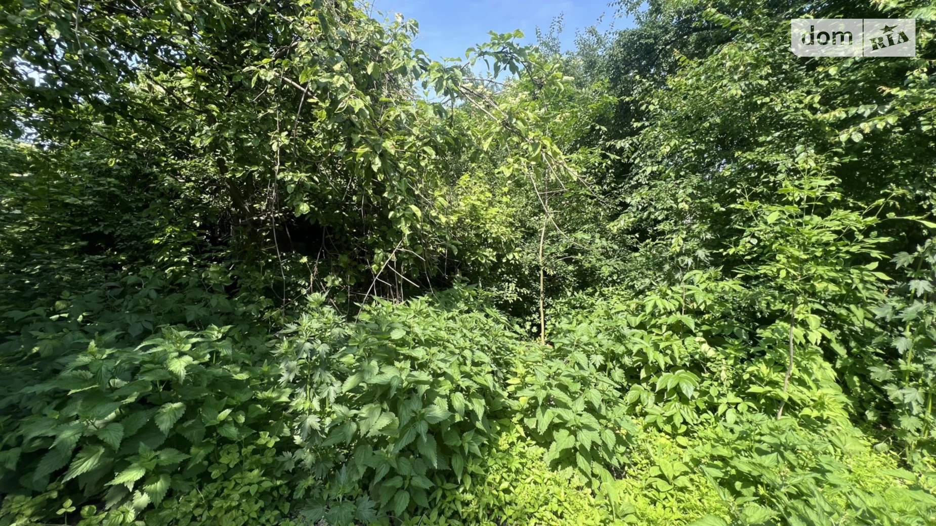 Продается земельный участок 8.8 соток в Ровенской области, цена: 7500 $ - фото 5