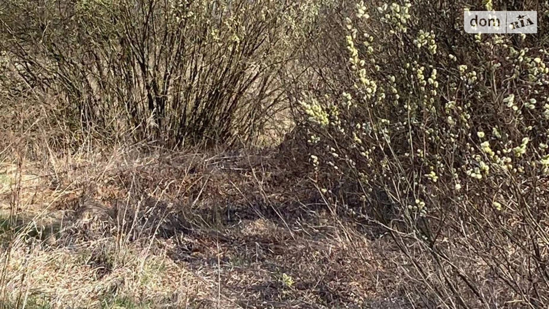 Продается земельный участок 0.1479 соток в Киевской области, цена: 5300 $ - фото 5