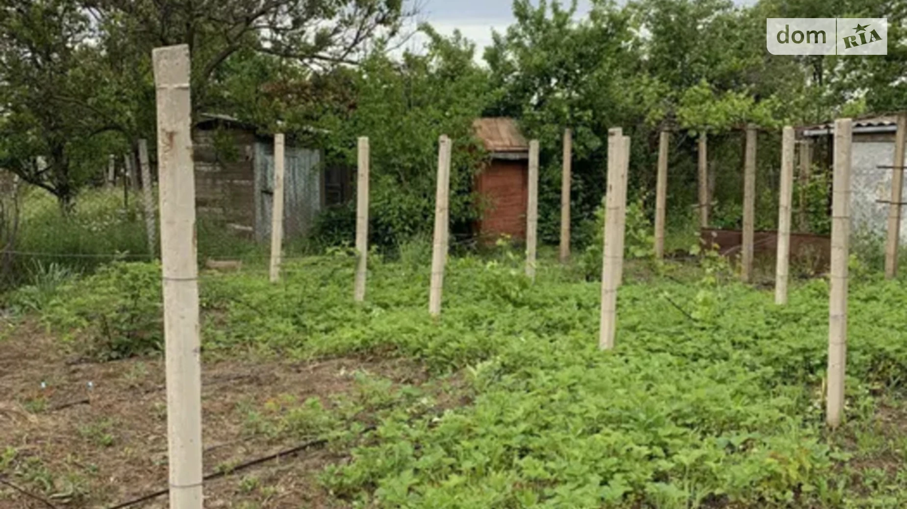 Продается земельный участок 6 соток в Николаевской области, цена: 2050 $ - фото 3