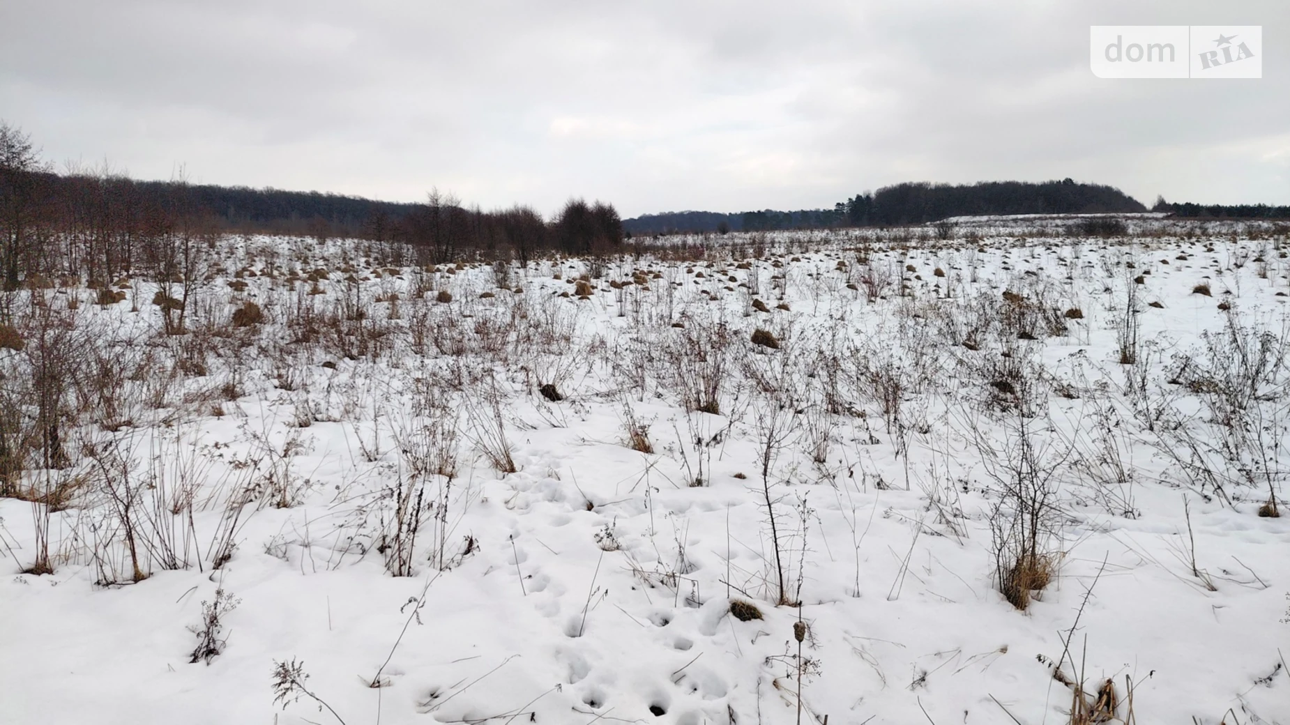 Продается земельный участок 9 соток в Львовской области, цена: 28000 $ - фото 3