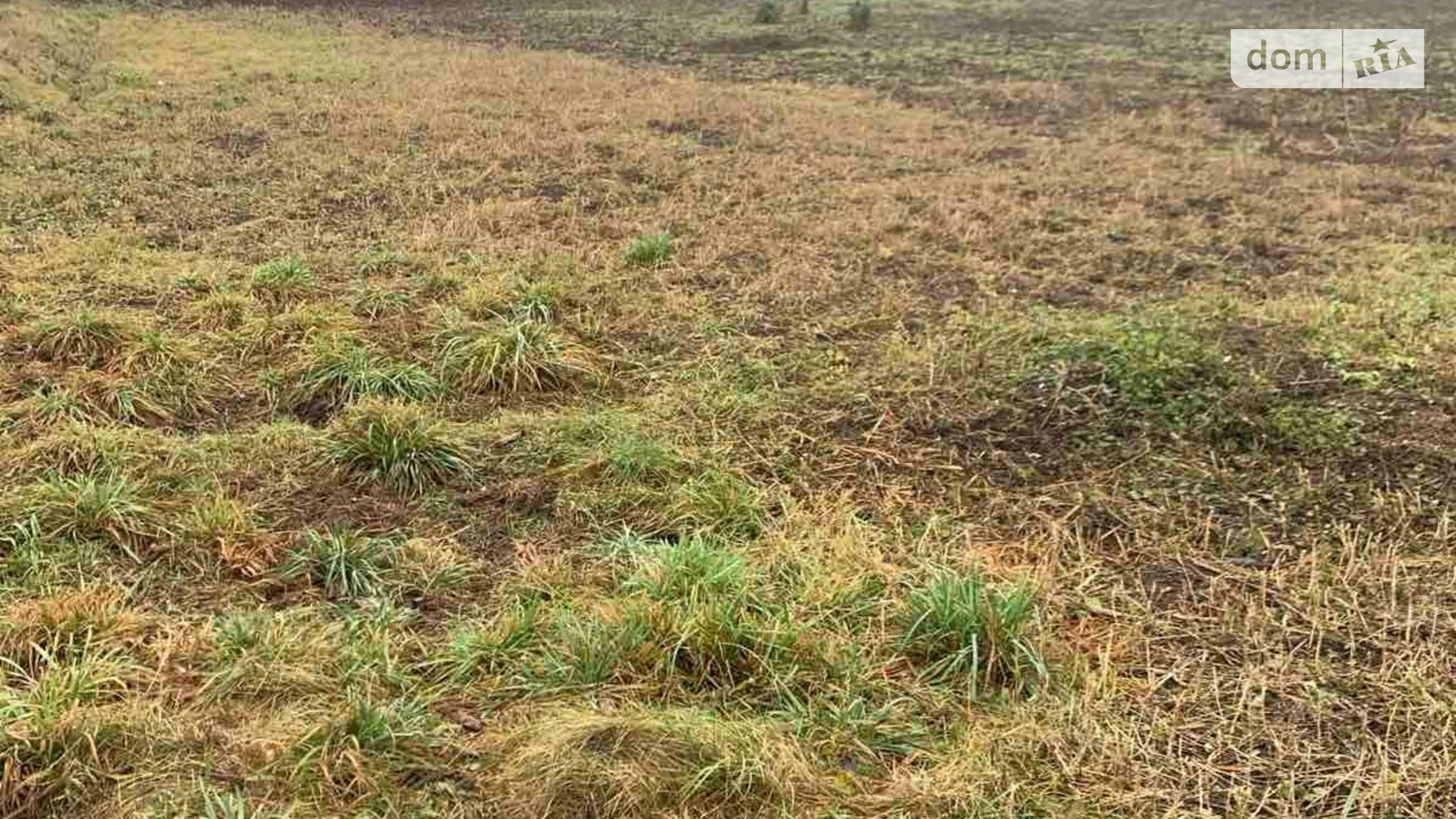 Сдается в аренду земельный участок 0.233 соток в Винницкой области, цена: 29023 грн - фото 3