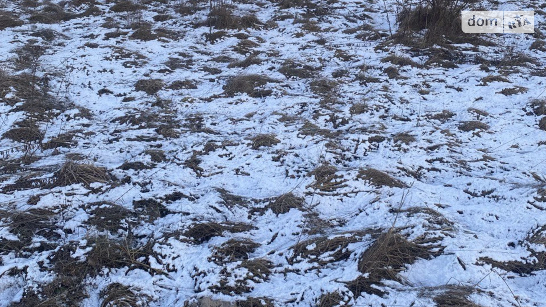 Продается земельный участок 8.38 соток в Житомирской области, цена: 5000 $ - фото 2